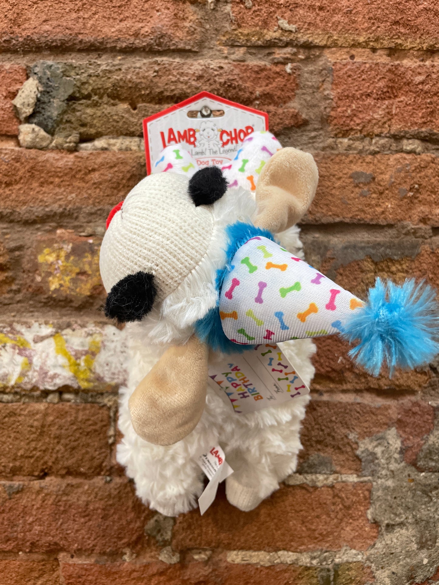 Multipet Lamb Chop Birthday Blue 10.5”