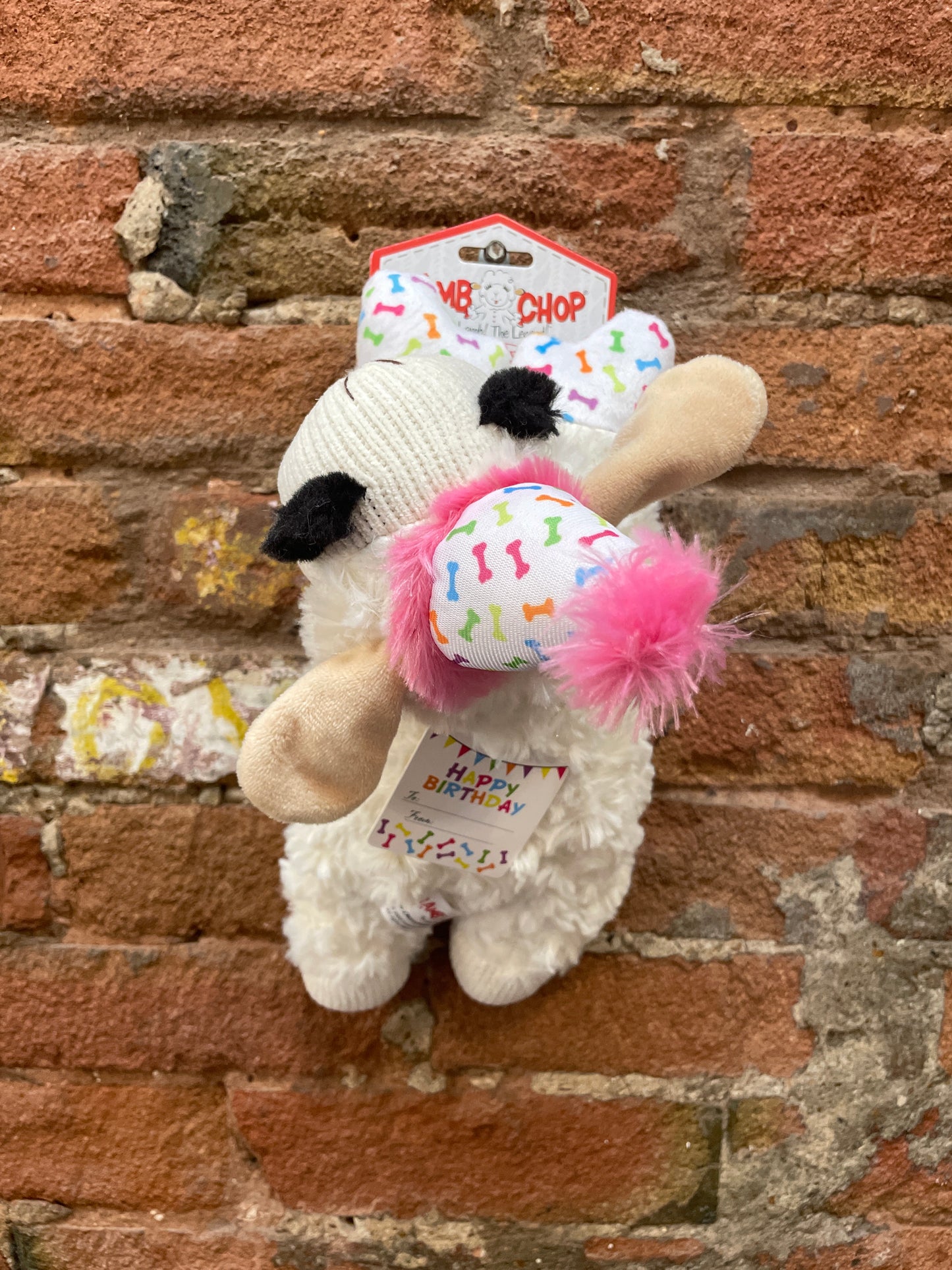 Multipet Lamb Chop Birthday Pink 10.5”