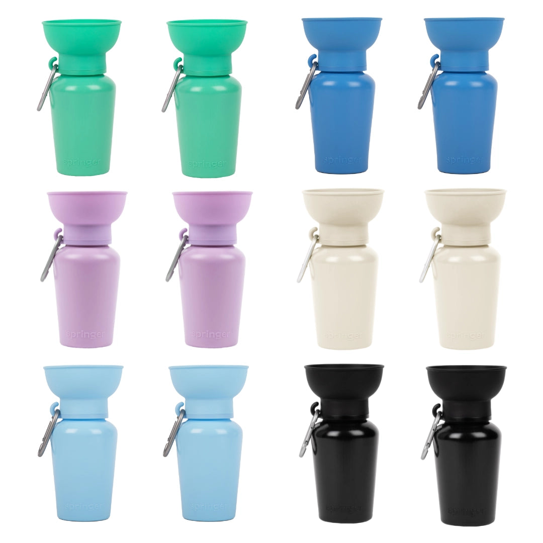 Springer Flip 20oz Water Bottle