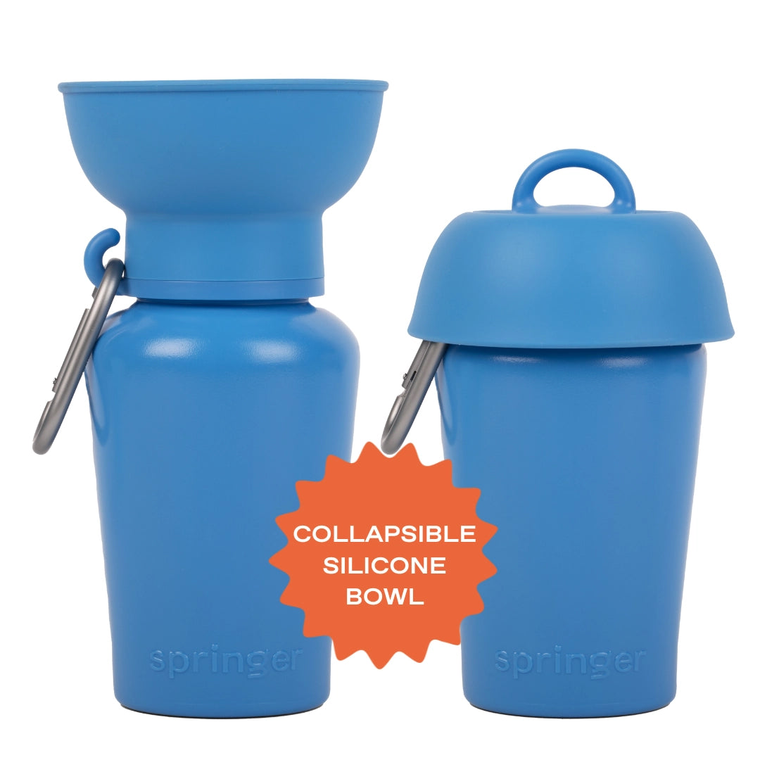 Springer Flip 20oz Water Bottle