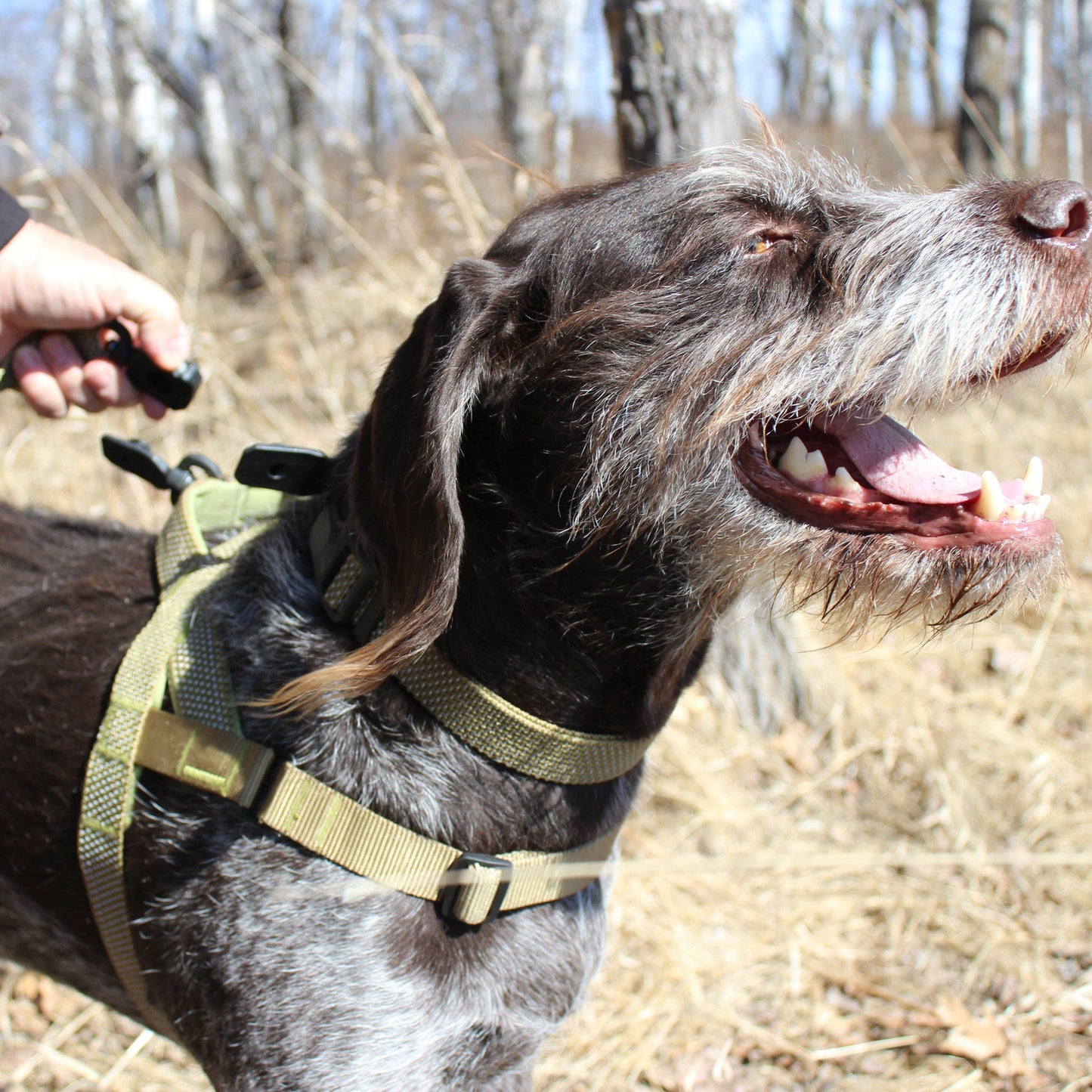 MAGNETIC QUICK CLIP HARNESS
