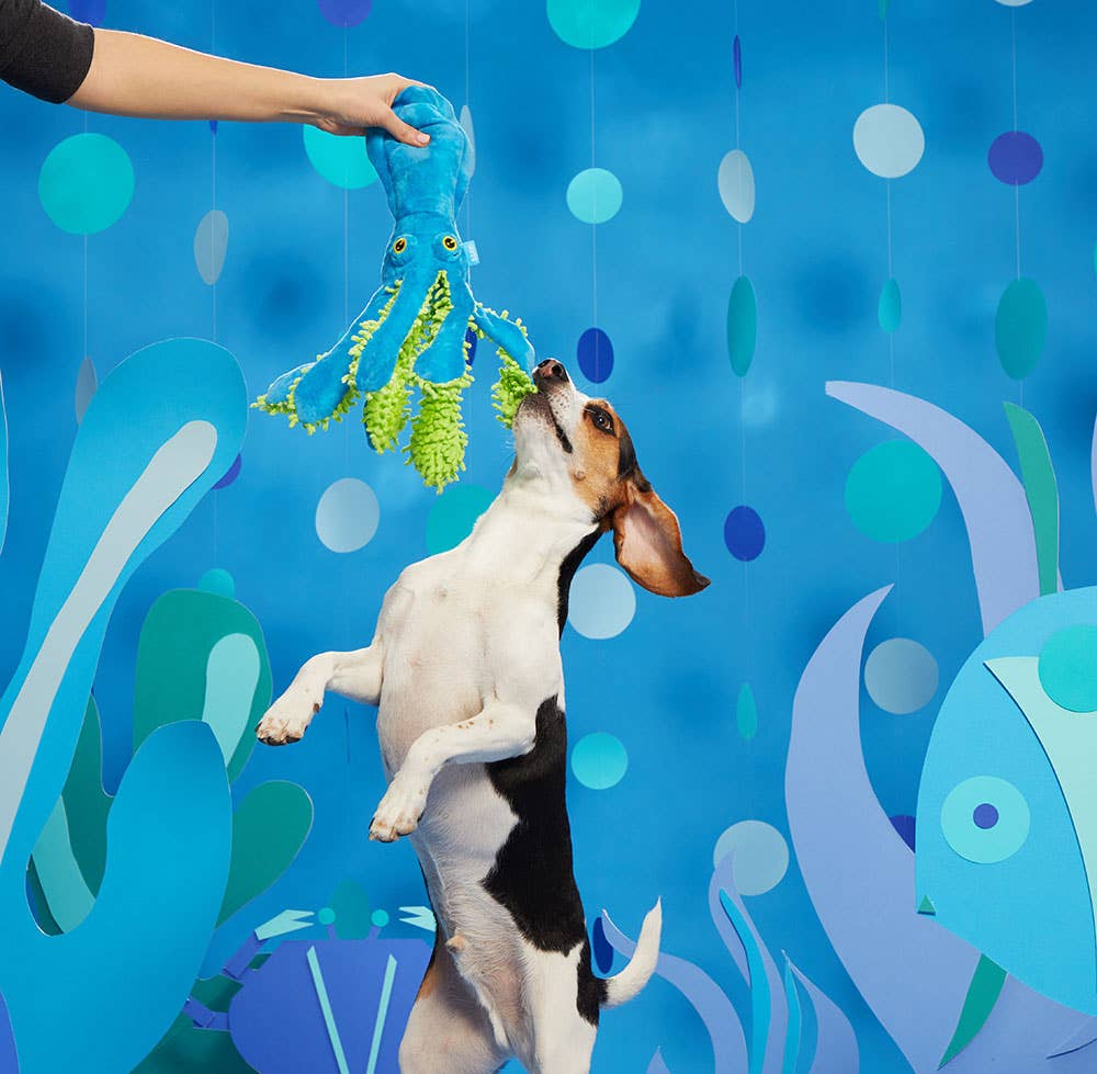 Pet Palette Distribution - BARK Shifty Sid the Squid