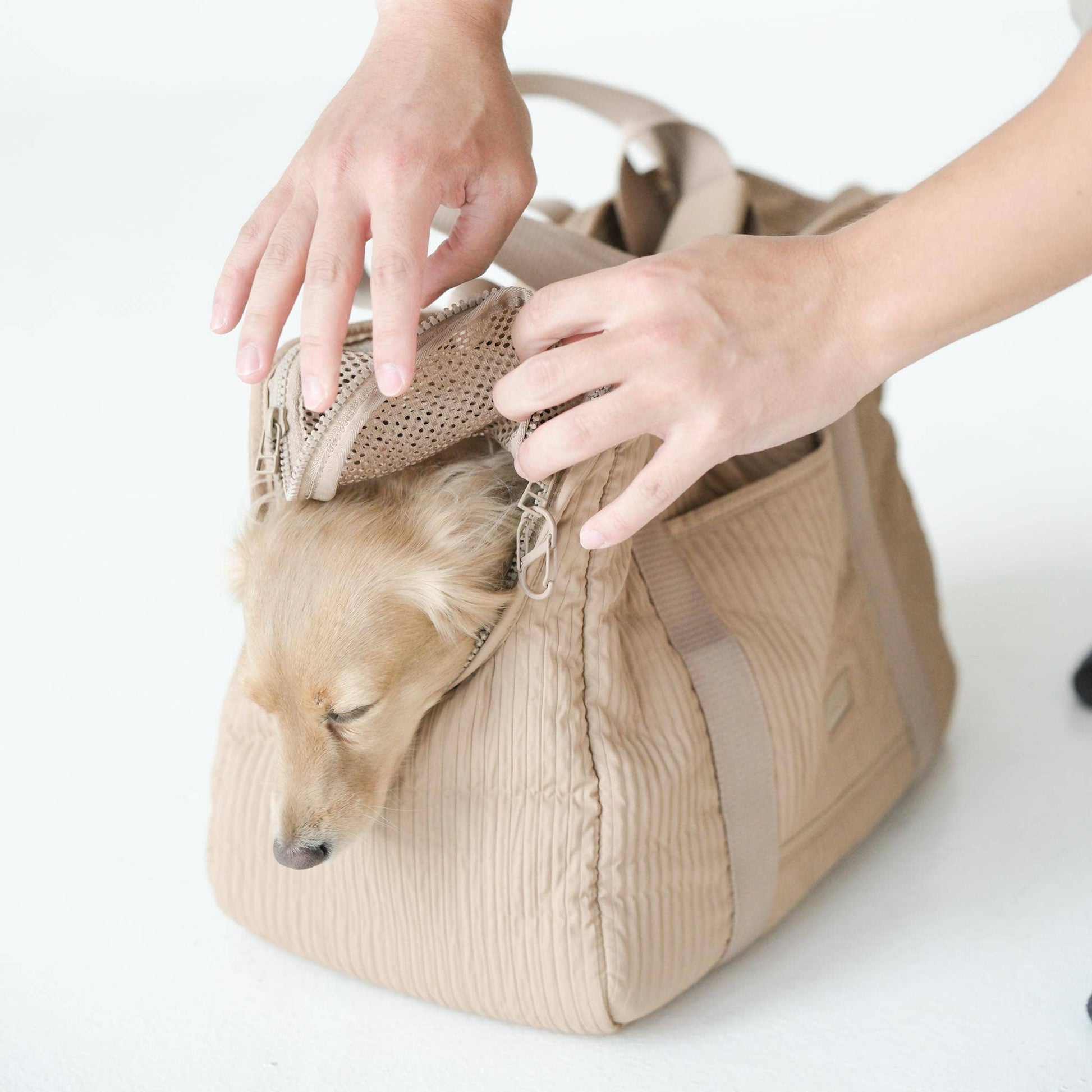 CITY//PET CARRIER