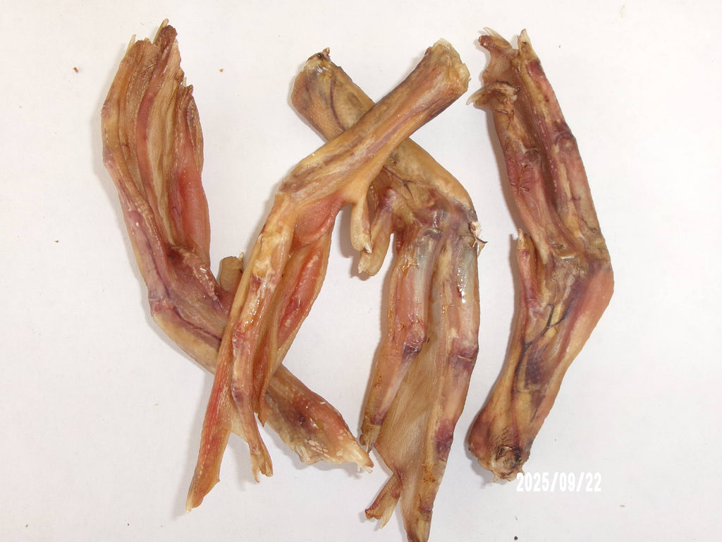 DUCK FEET