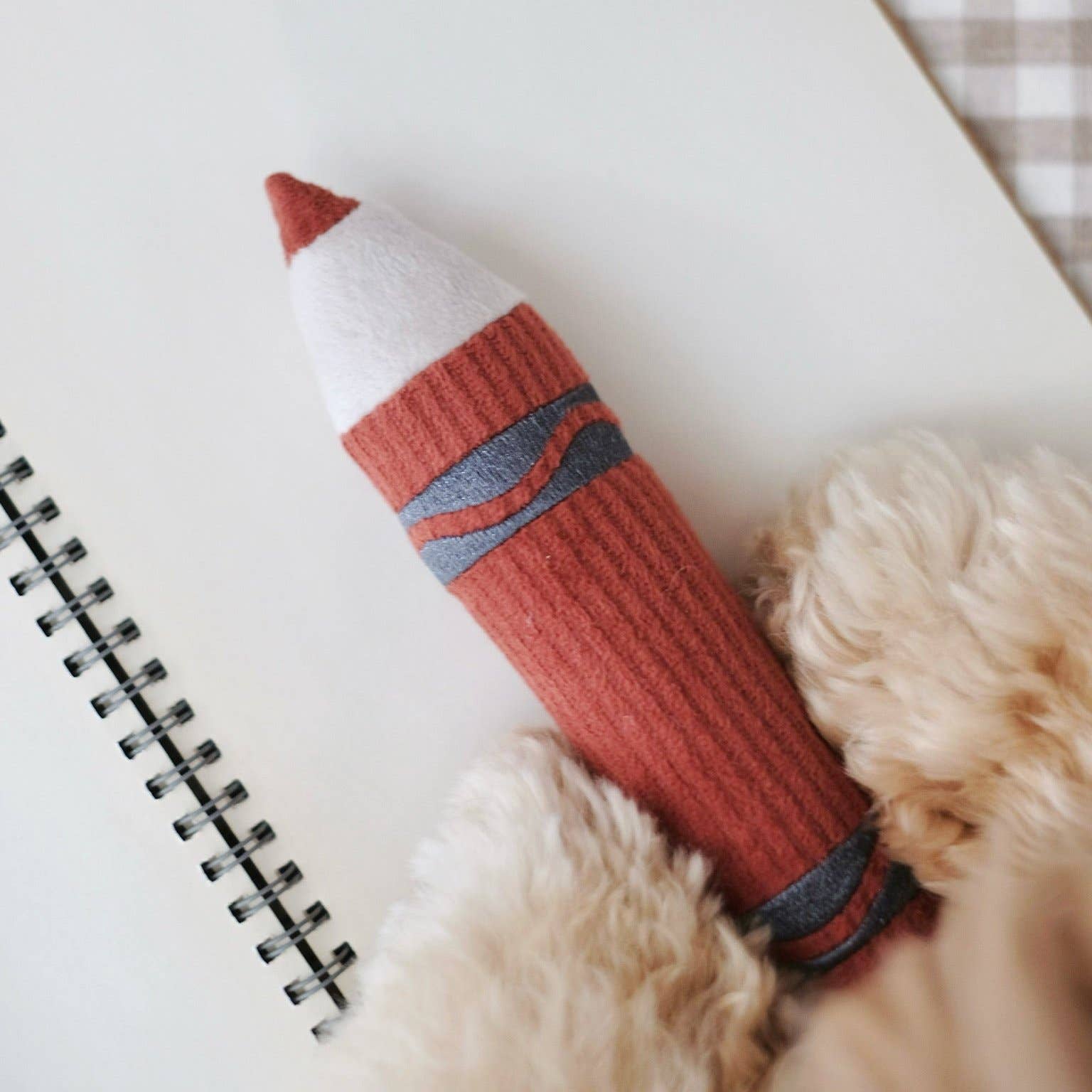 CRAYONS//ENRICHMENT DOG TOY