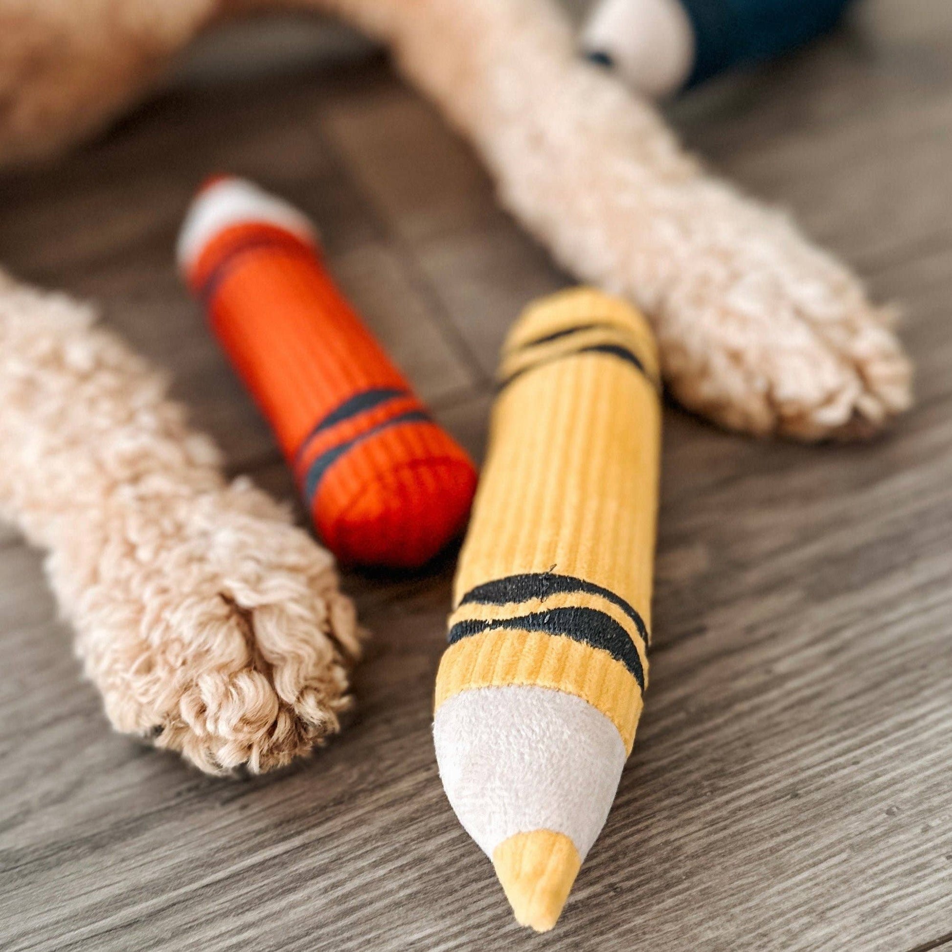 CRAYONS//ENRICHMENT DOG TOY