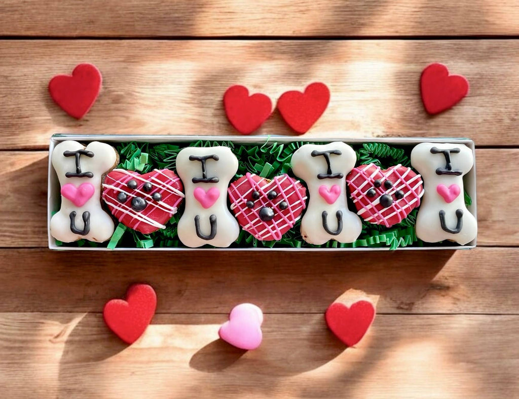 GIFT BOX of I heart U Valentines dog treat