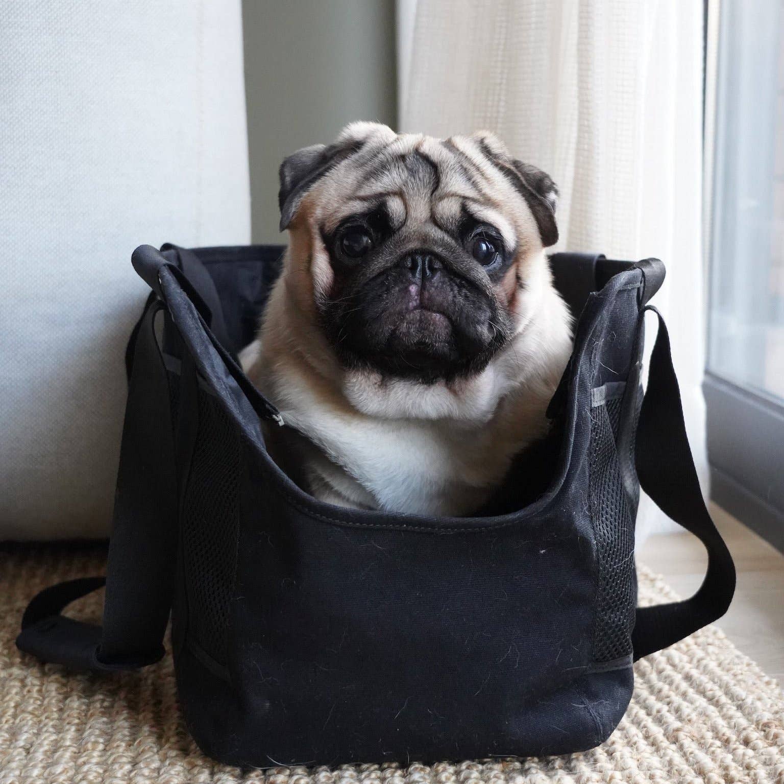 SUBWAY//PET CARRIER