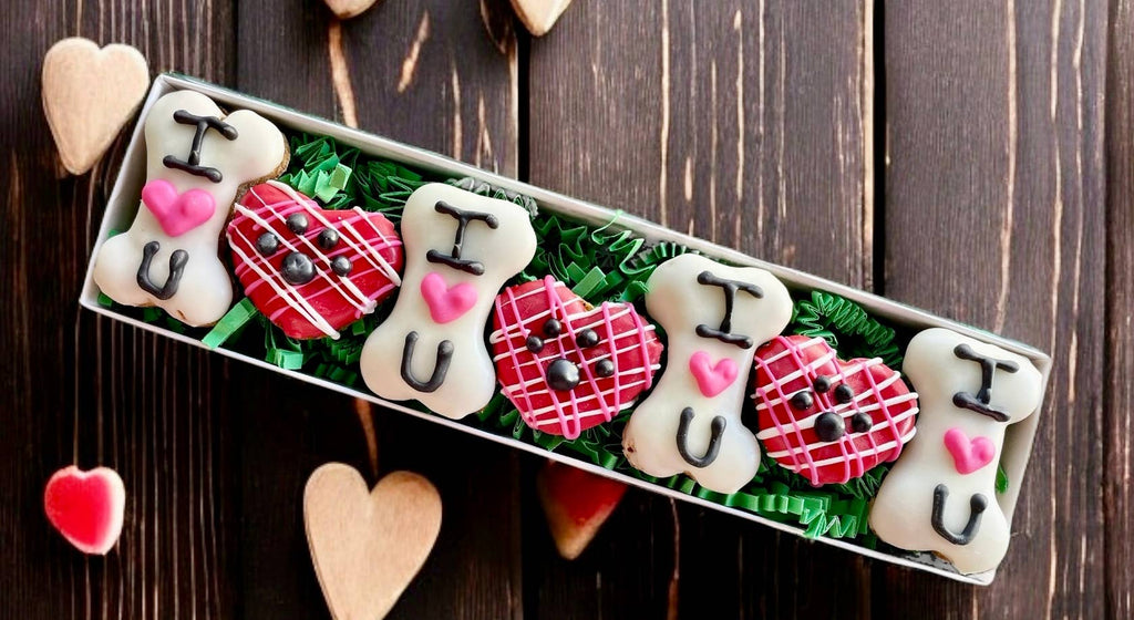 GIFT BOX of I heart U Valentines dog treat