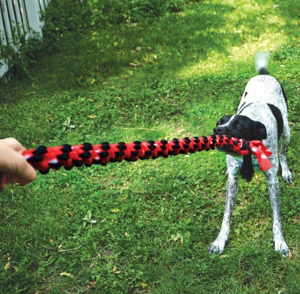 KONG® Signature Rope Mega Dual Knot Dog Toy 40"