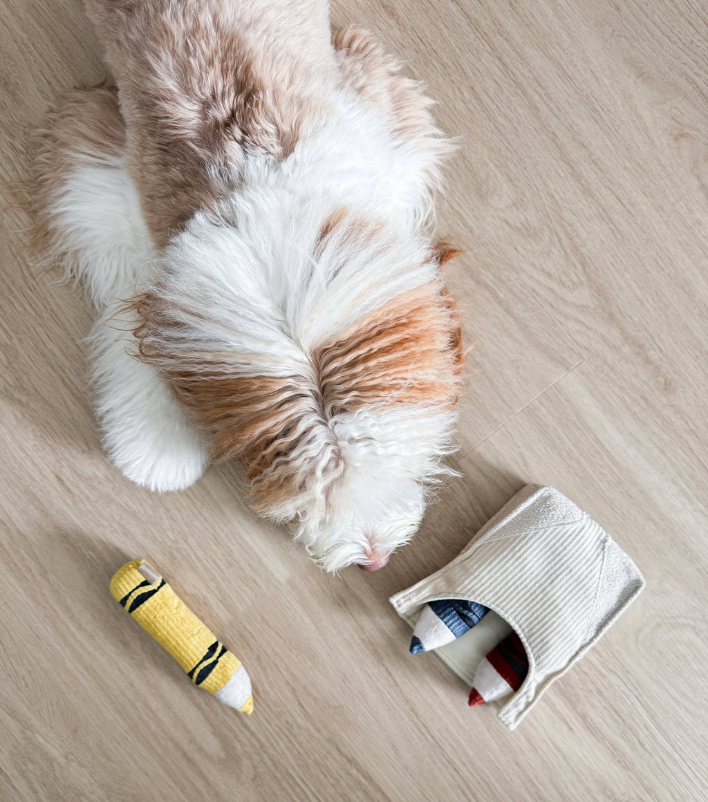 CRAYONS//ENRICHMENT DOG TOY