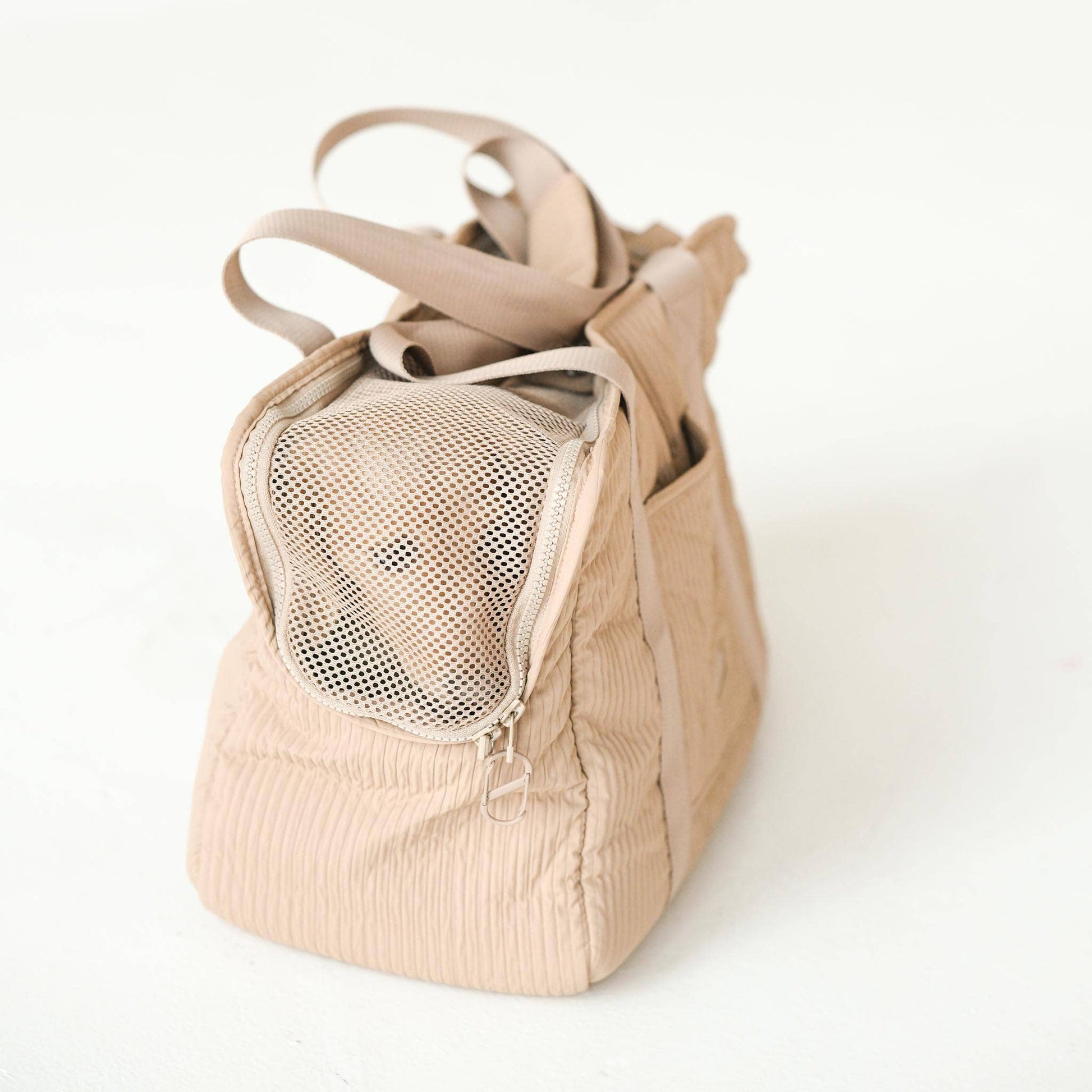 CITY//PET CARRIER
