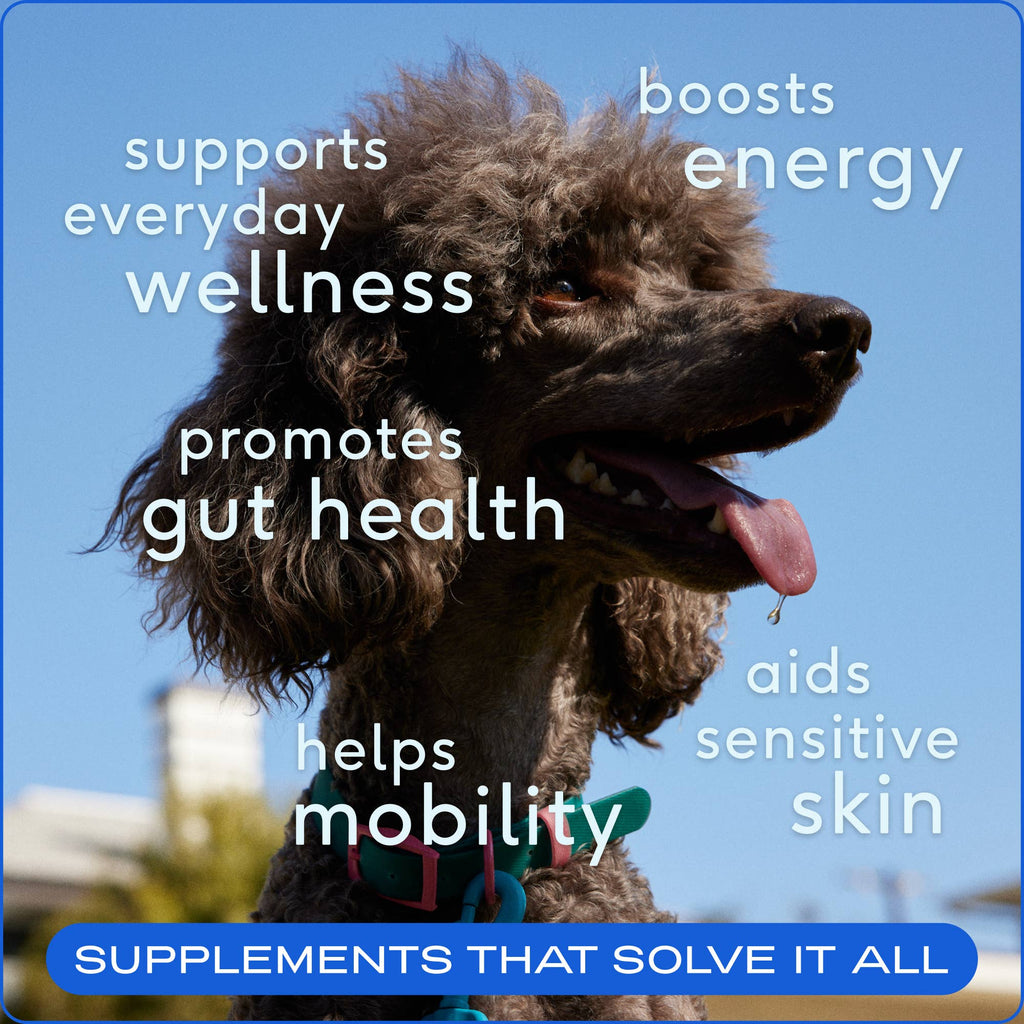 Native Pet - The Daily Powder Supplement, 11-in-1 Multivitamins for Dogs
