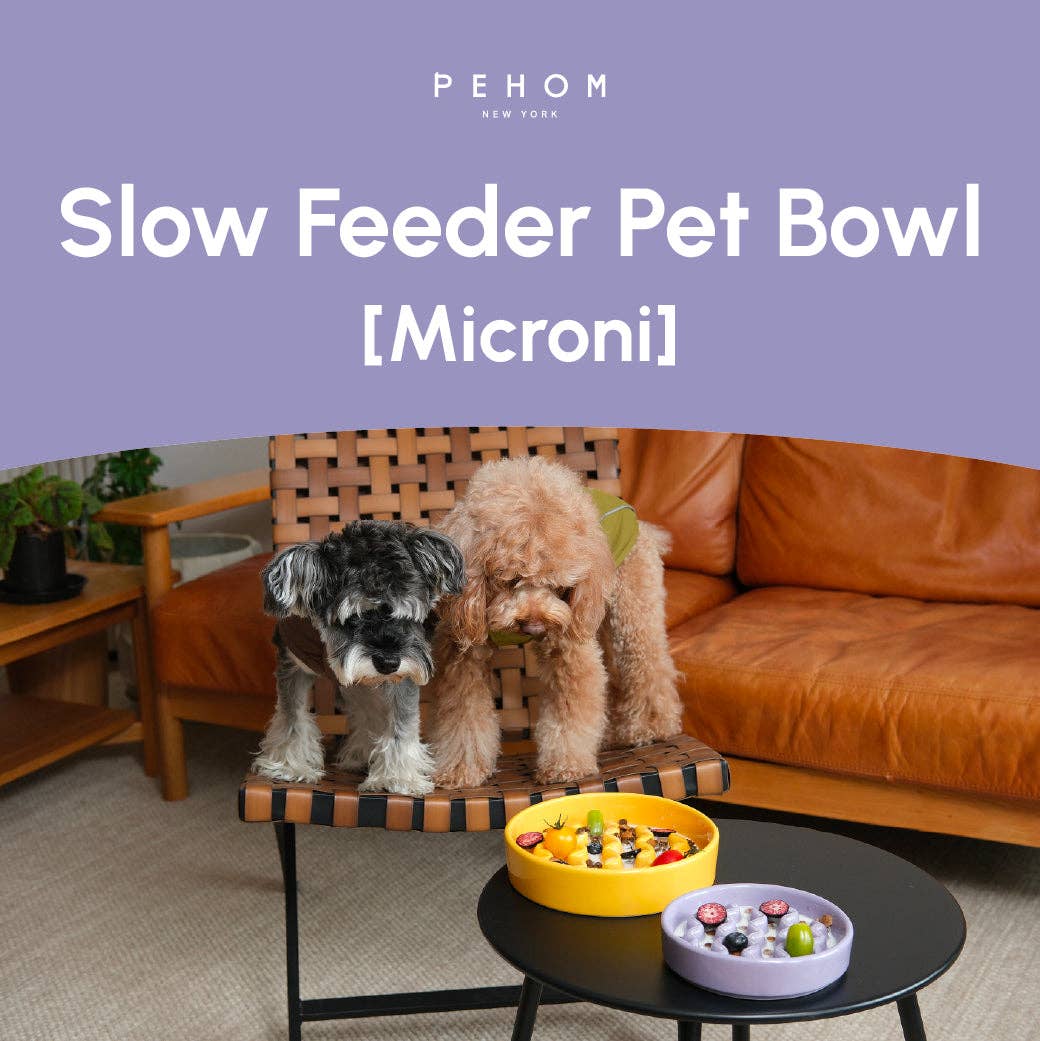 [Macaroni] Slow Feeder Dog Bowls - Yellow / Frozen Blue / Purple