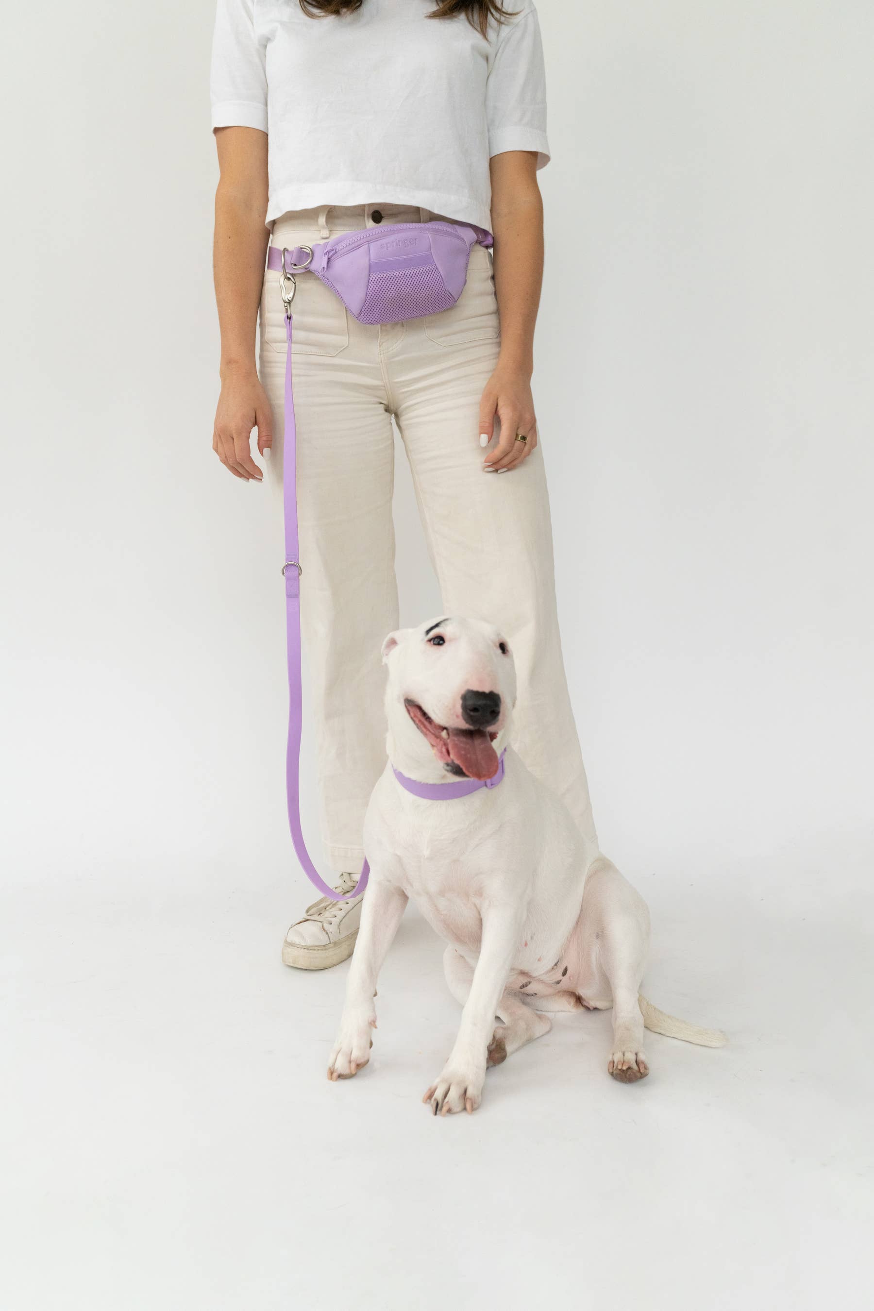 Dog Walking Sling Bag with Built-in Leash (4 Pack)