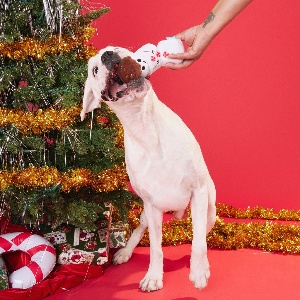 BARK Frosty the S'moreman Dog Toy
