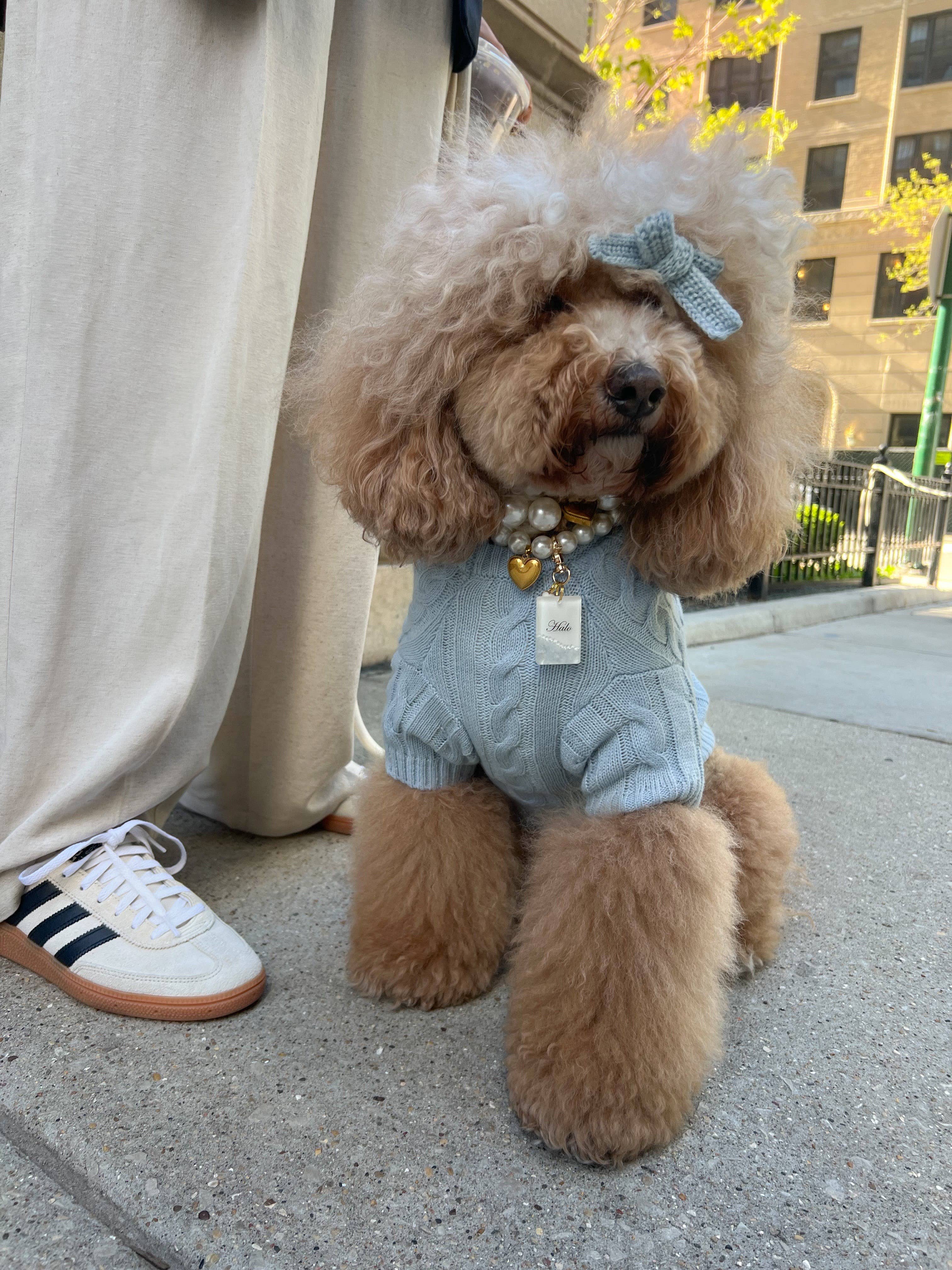Cablette Blue Dog Shirt