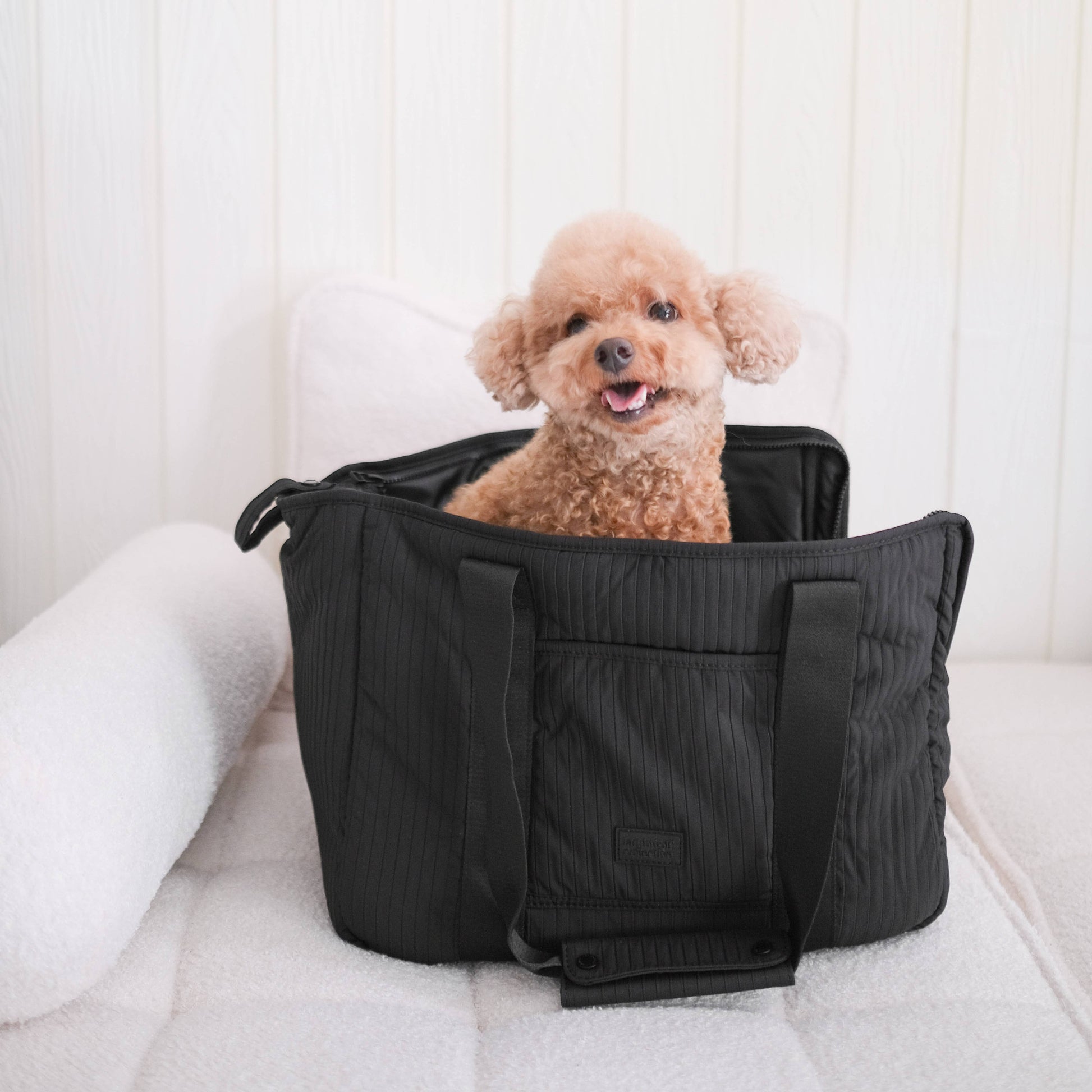 CITY//PET CARRIER