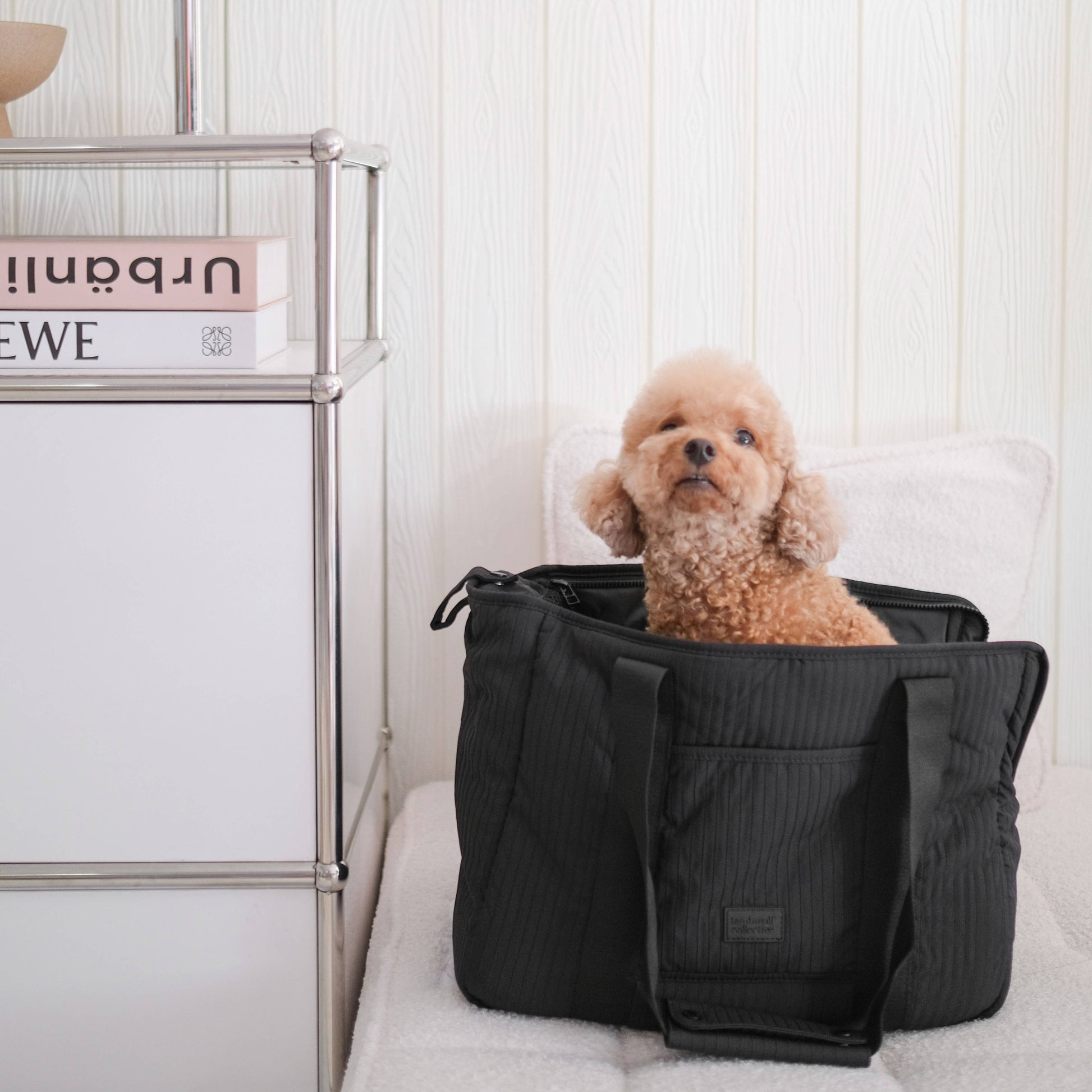CITY//PET CARRIER