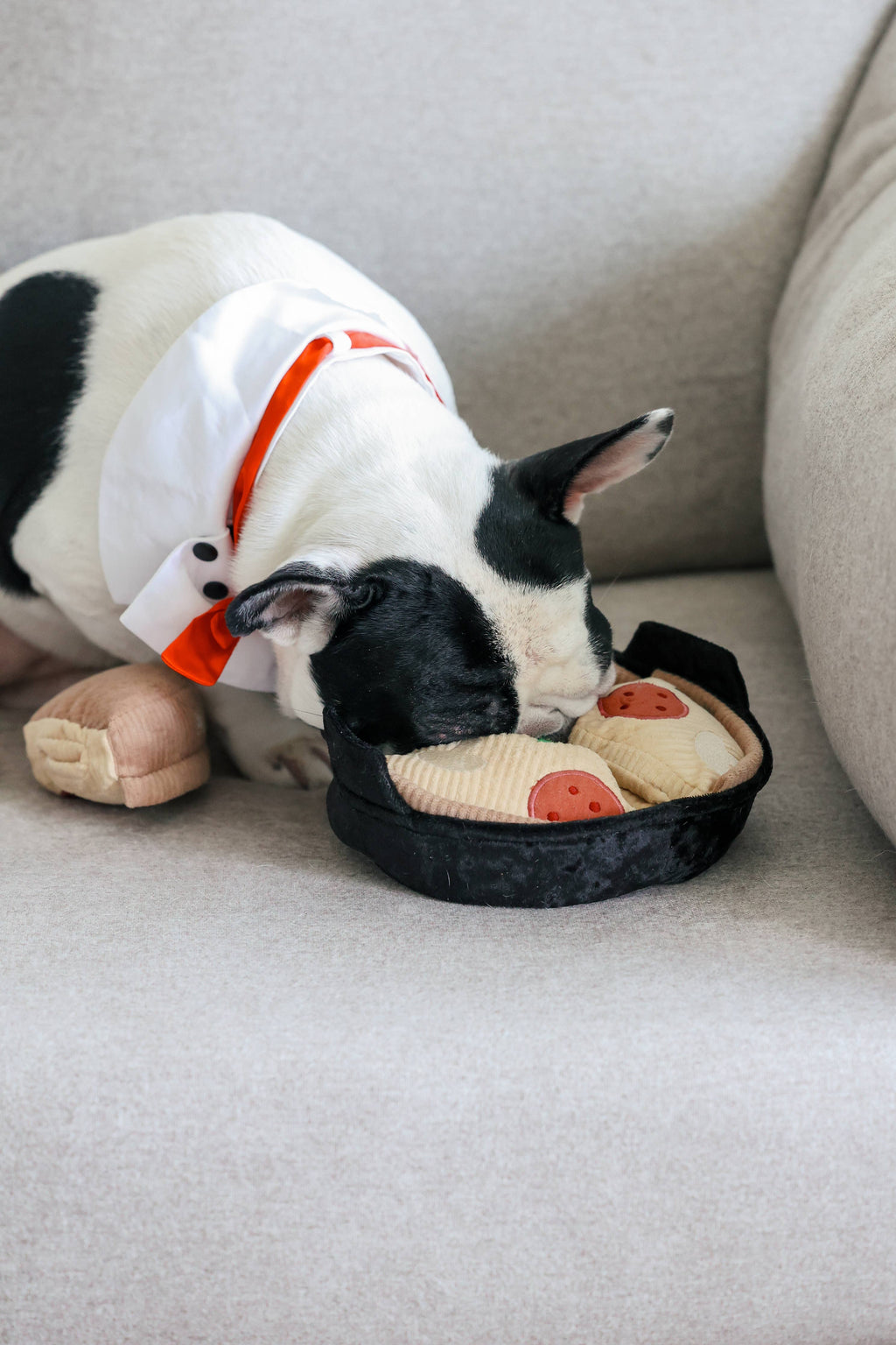 DEEP DISH PIZZA//ENRICHMENT DOG TOY