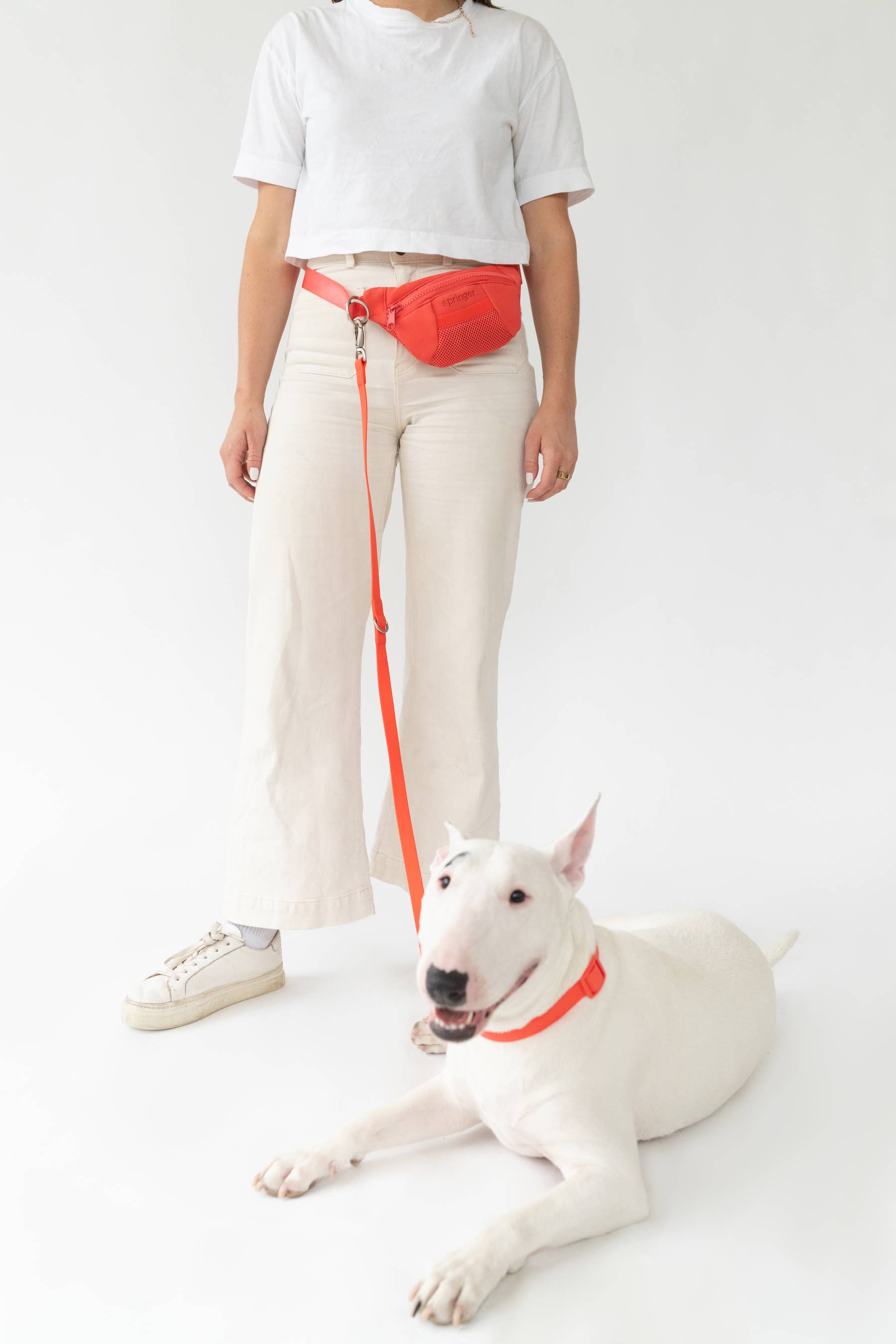 Dog Walking Sling Bag with Built-in Leash (4 Pack)