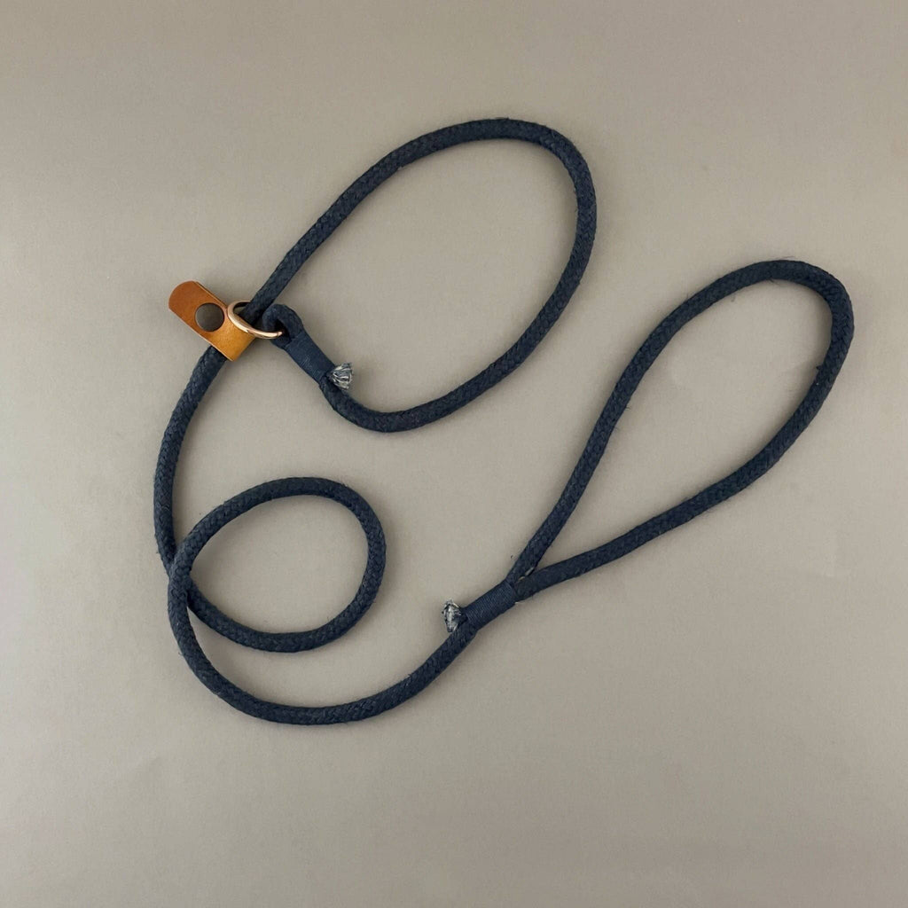 Hemp Slip Leash for Dog and Puppy Training, Lightweight