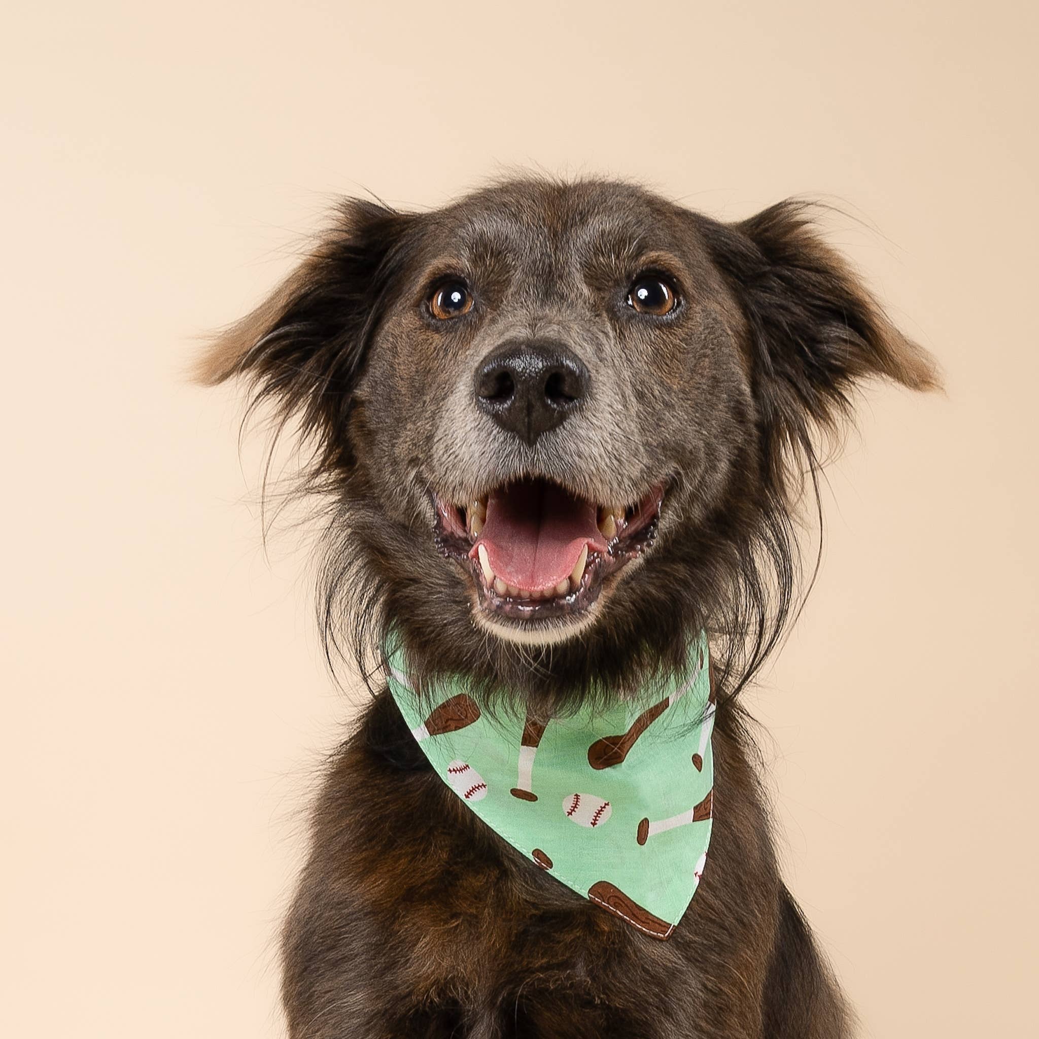 Batter Up Dog Bandana