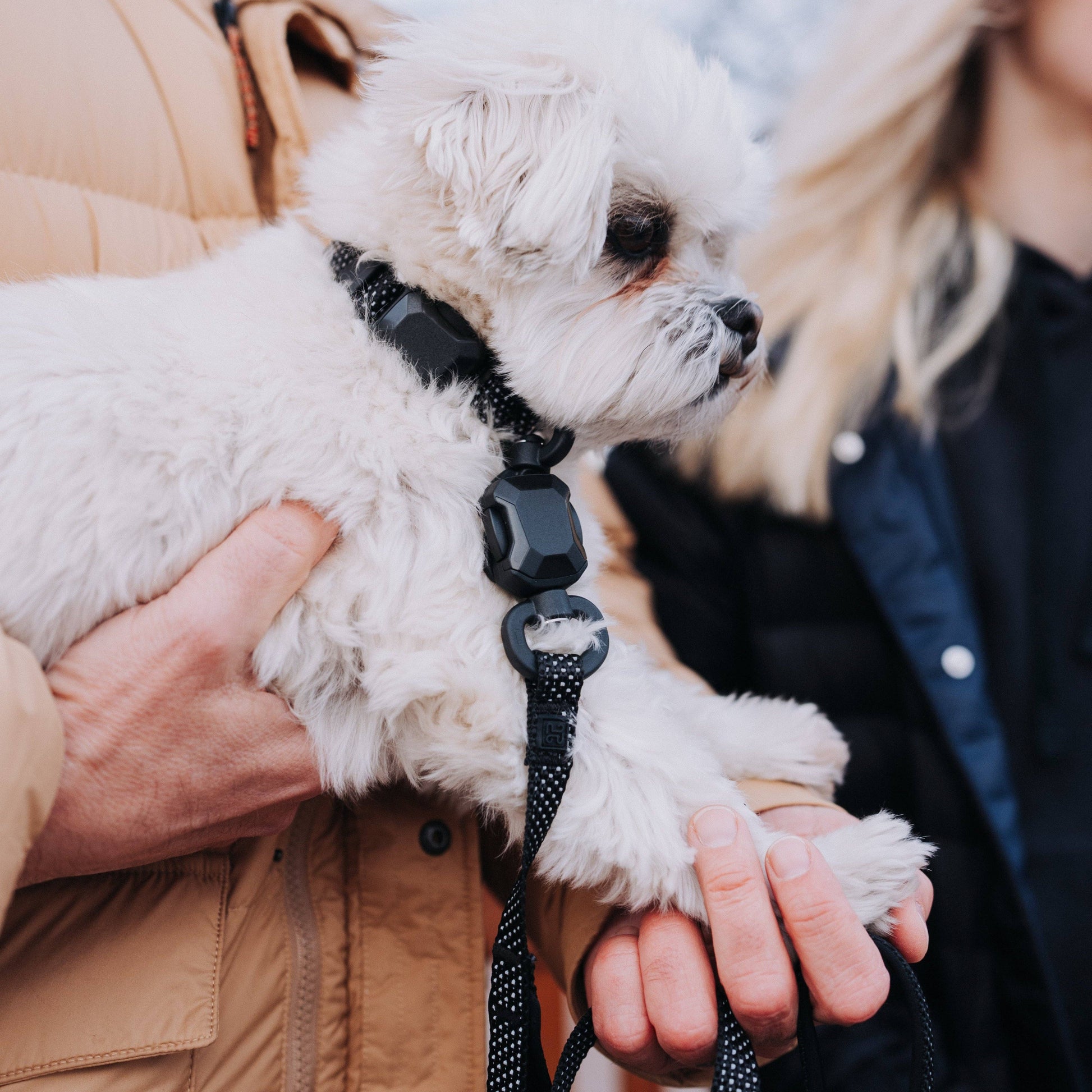 MAGNETIC QUICK CLIP REFLECTIVE LEASH