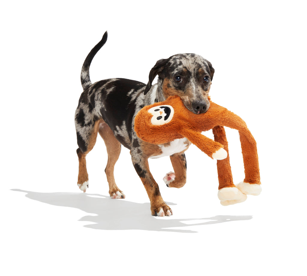 Pet Palette Distribution - BARK Sasquatch Josh Plush Dog Toy