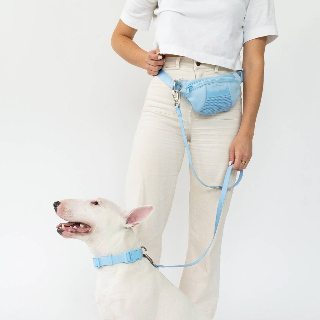Dog Walking Sling Bag with Built-in Leash (4 Pack)