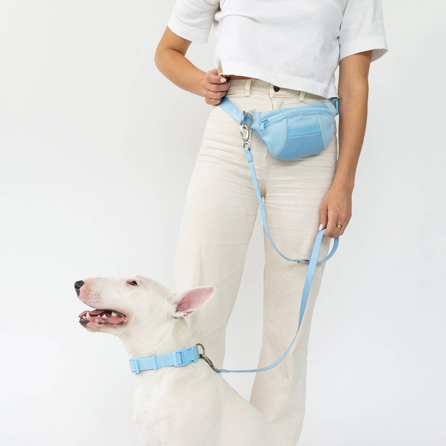 Dog Walking Sling Bag with Built-in Leash (4 Pack)