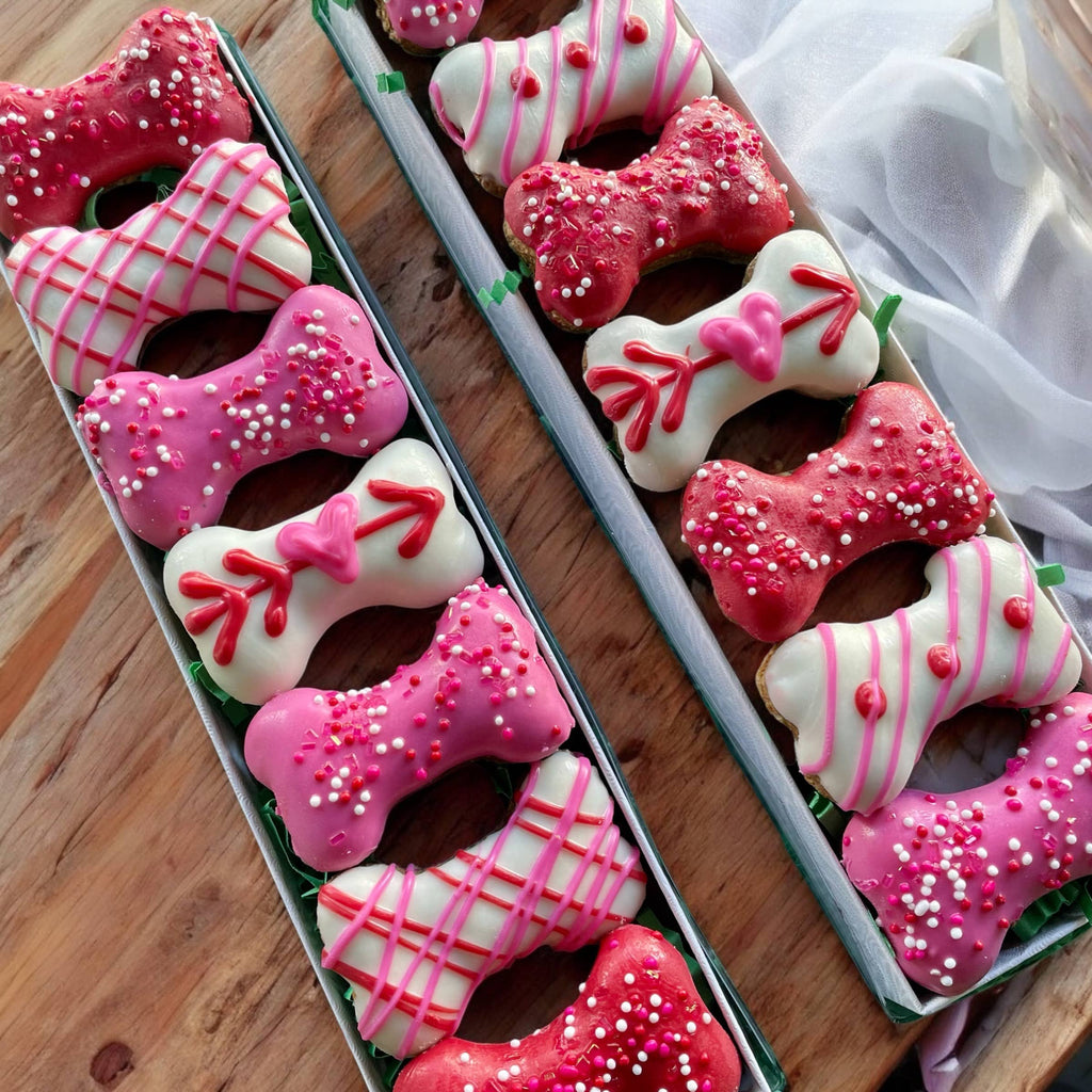 GIFT BOX of Valentines Mini bone dog treat