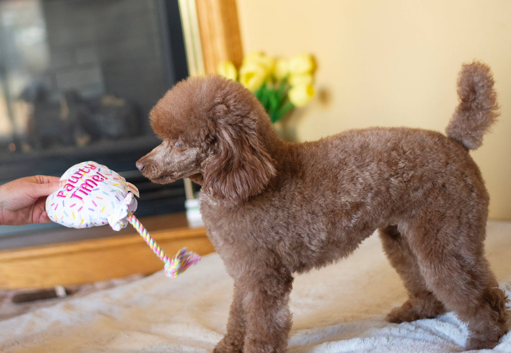 ThoozyPet Birthday Balloon Plush Dog Toy with Rope 7"