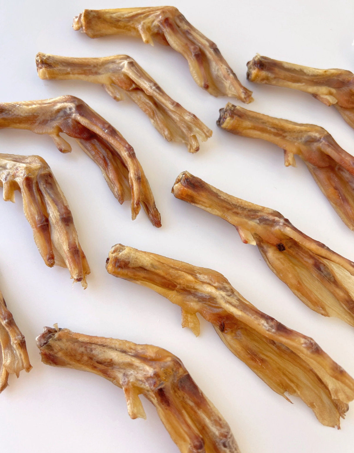 DUCK FEET 10 CT