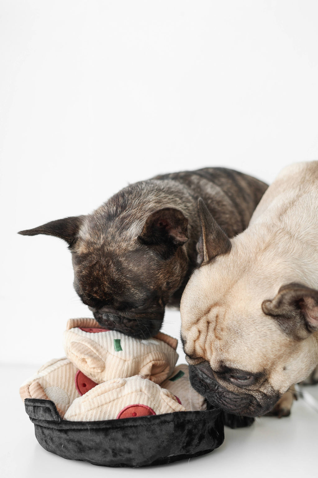 DEEP DISH PIZZA//ENRICHMENT DOG TOY