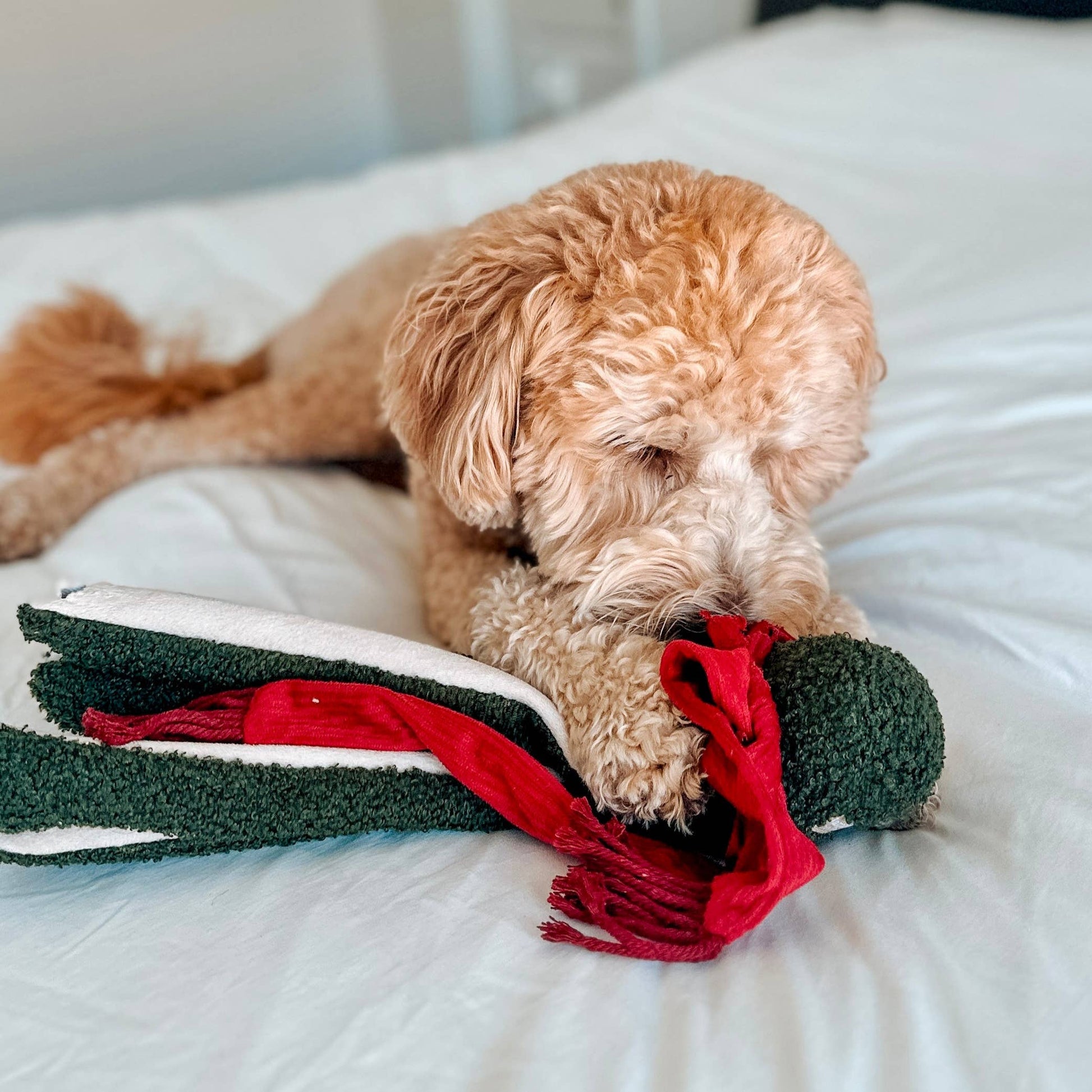 TAKO//ENRICHMENT DOG TOY / HOLIDAY