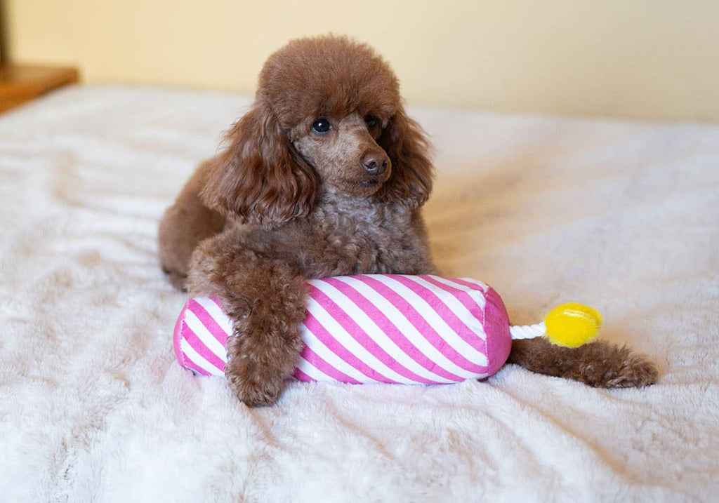 ThoozyPet Birthday Candle Pink Plush Dog Toy with Rope 16"