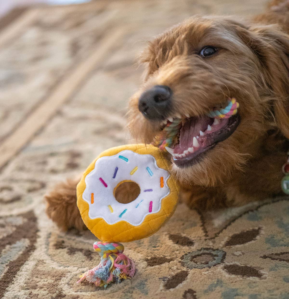 ThoozyPet Birthday Donut Plush Dog Toy with Rope 12"