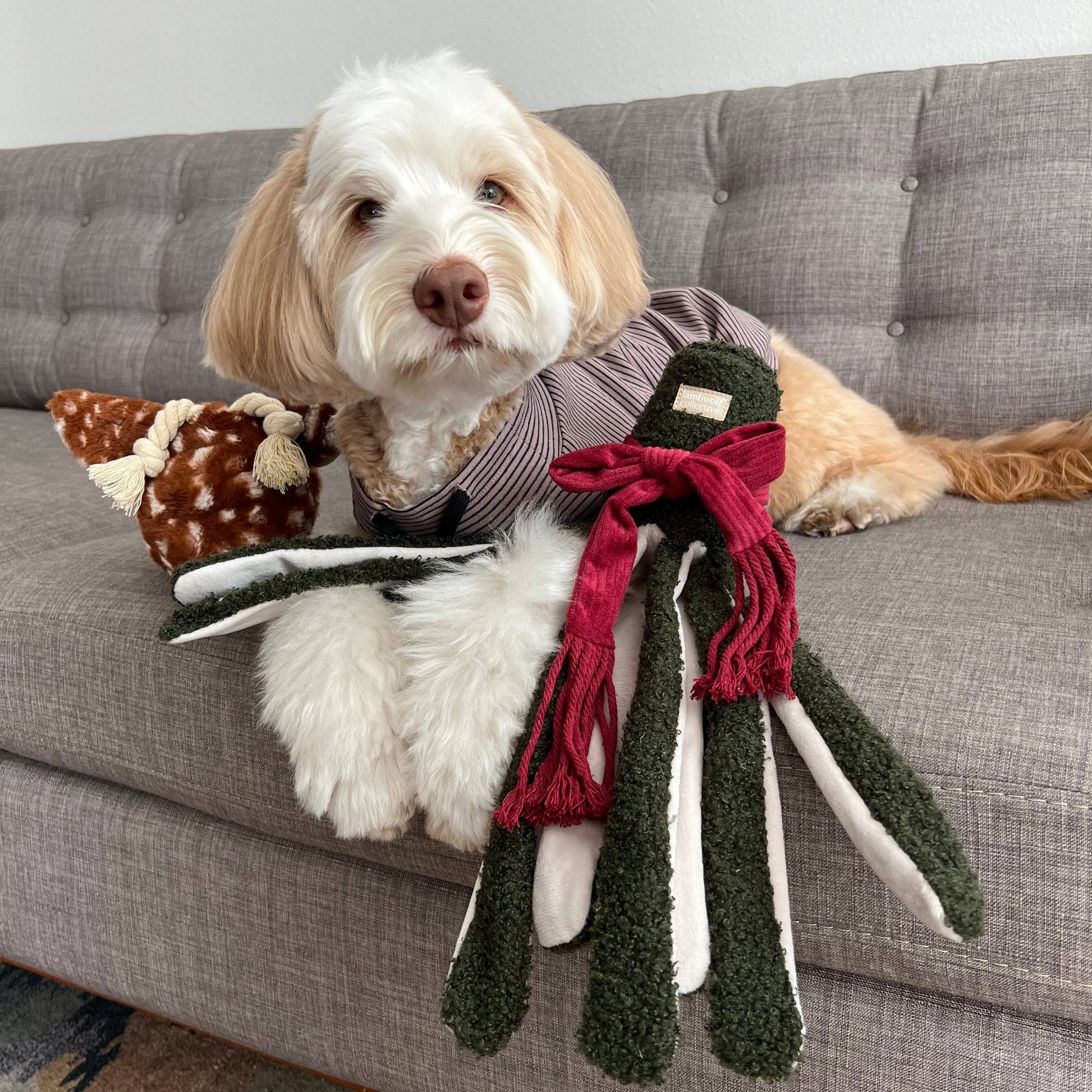 TAKO//ENRICHMENT DOG TOY / HOLIDAY