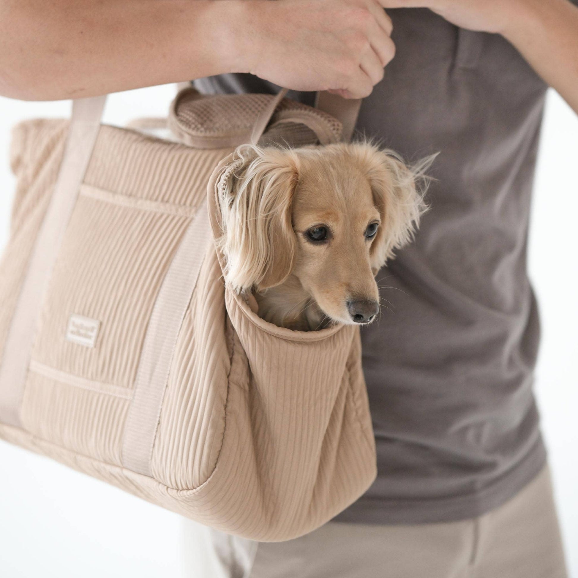 CITY//PET CARRIER