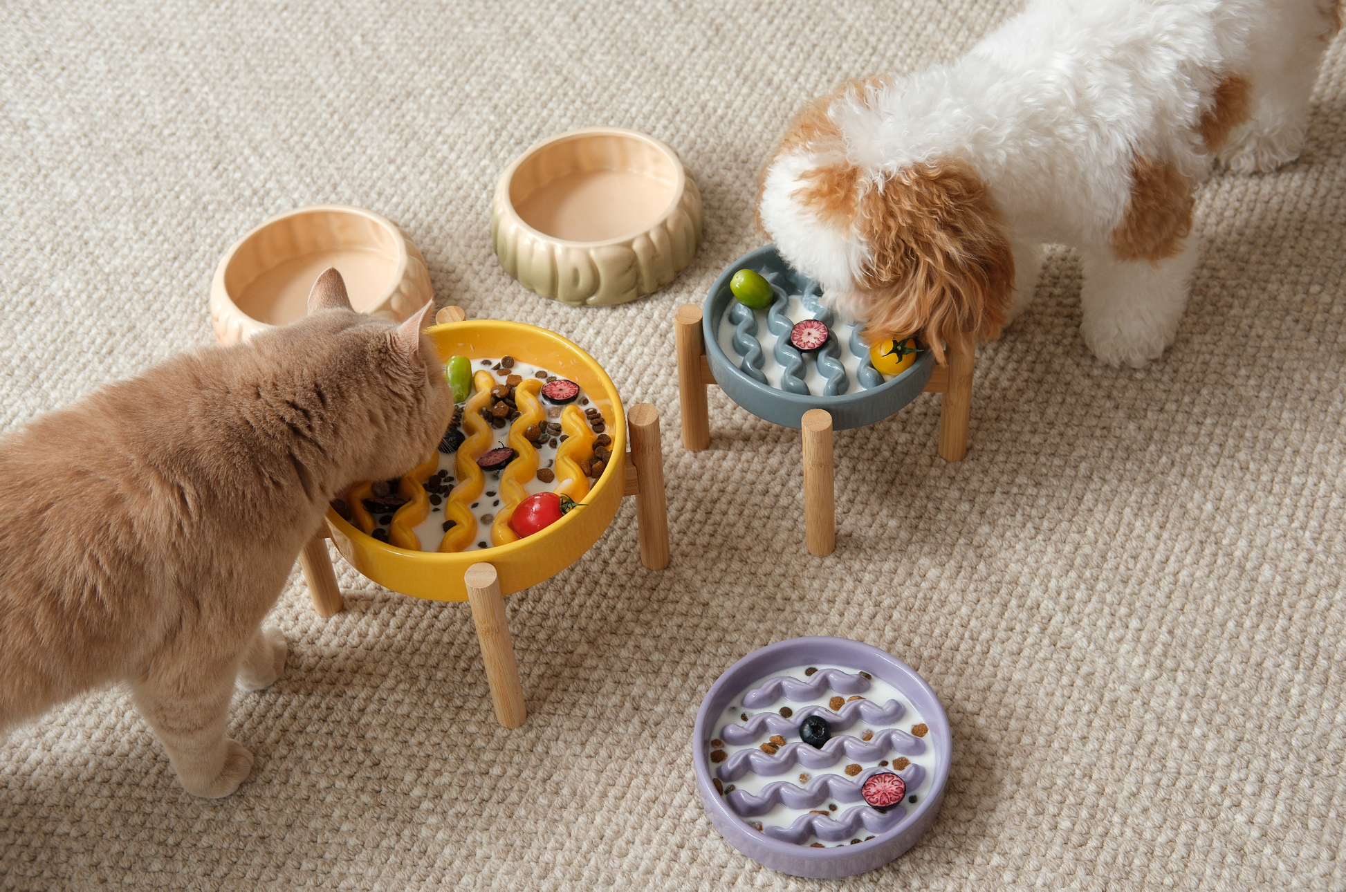 [Macaroni] Slow Feeder Dog Bowls - Yellow / Frozen Blue / Purple