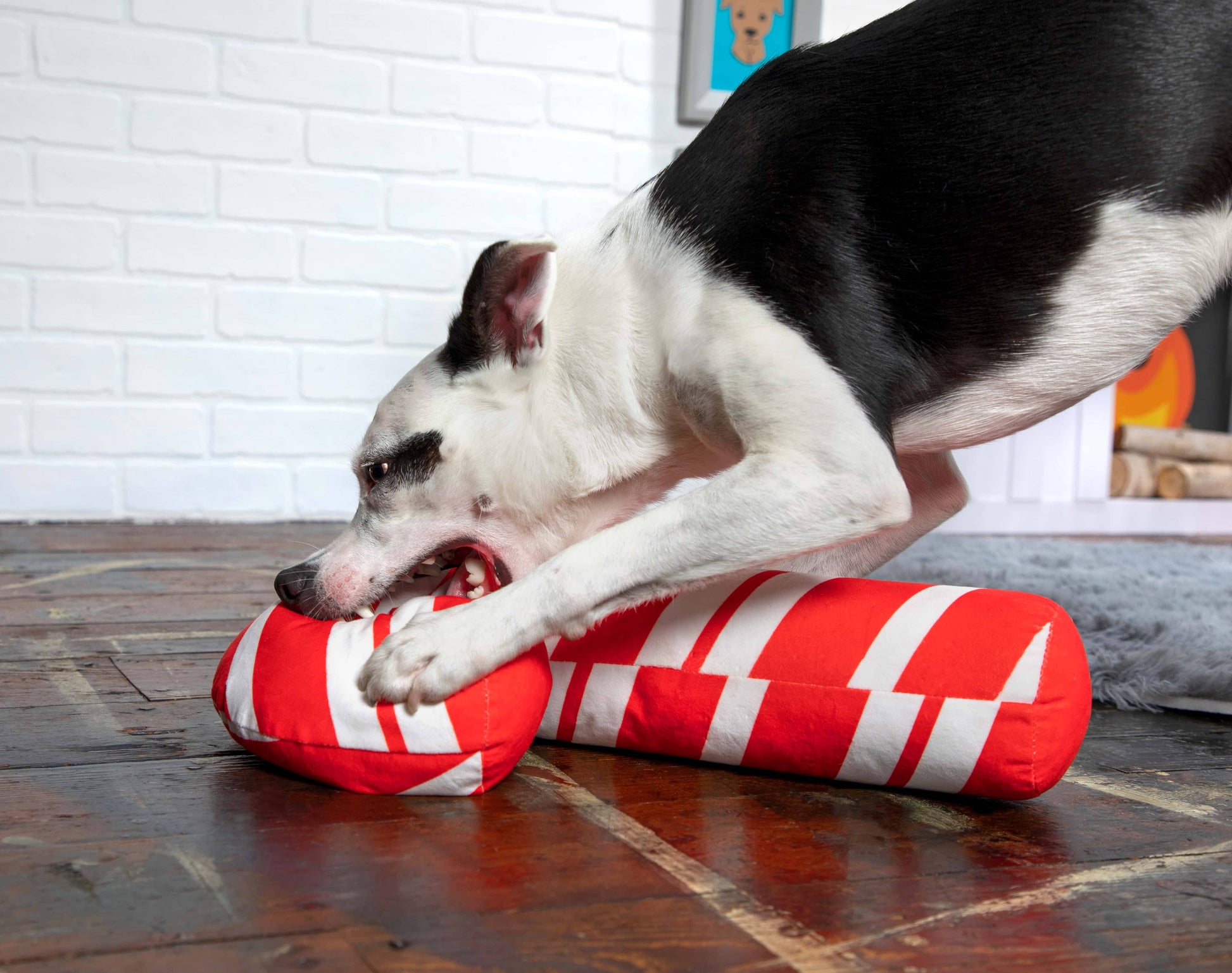 BARK Grandy Cane Plush Dog Toy