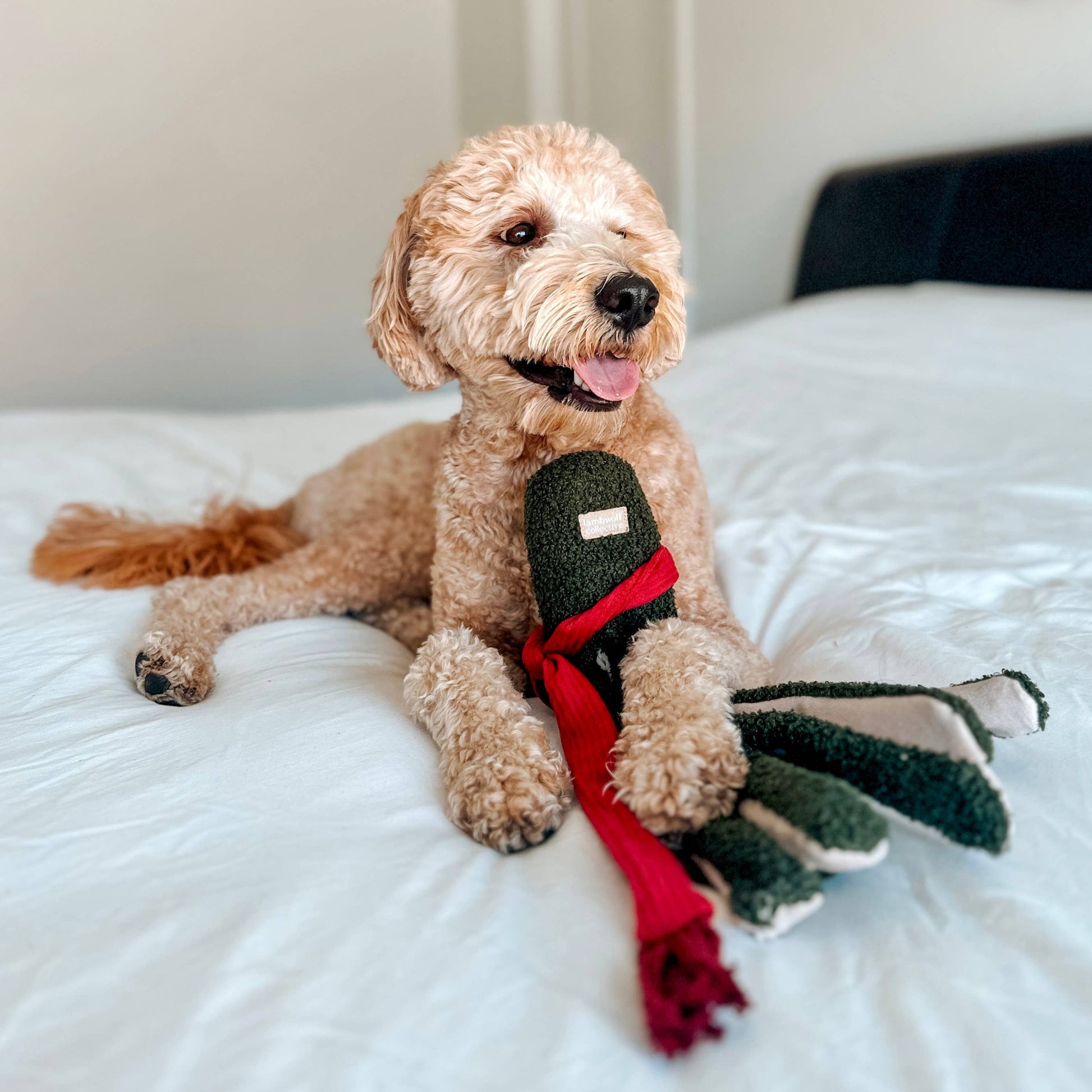 TAKO//ENRICHMENT DOG TOY / HOLIDAY