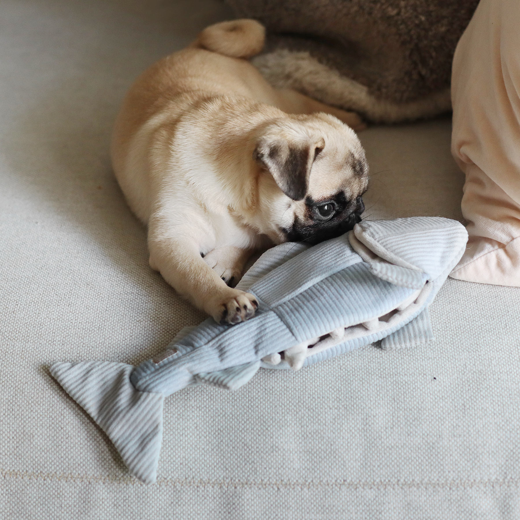 TROUT//ENRICHMENT DOG TOY