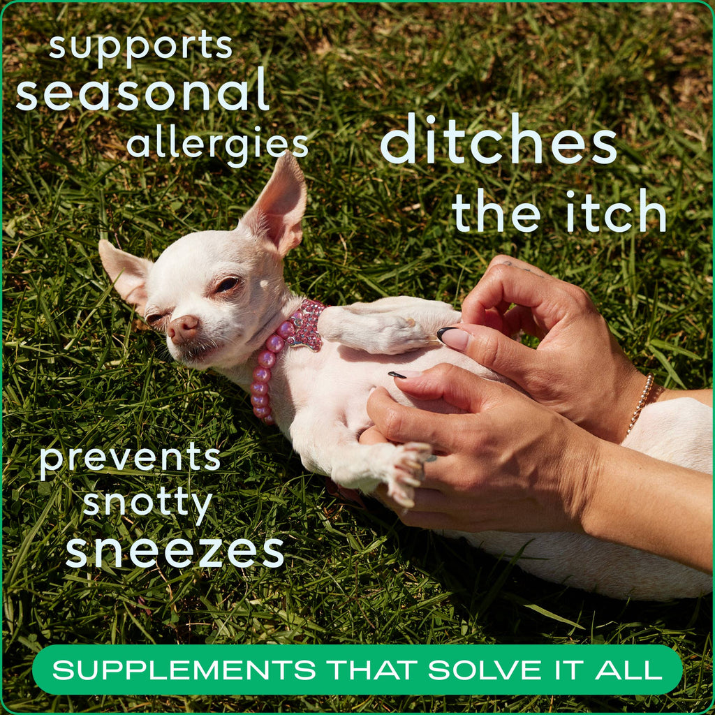 Native Pet - Allergy & Immune Chews, an Allergy & Itch Relief Supplement