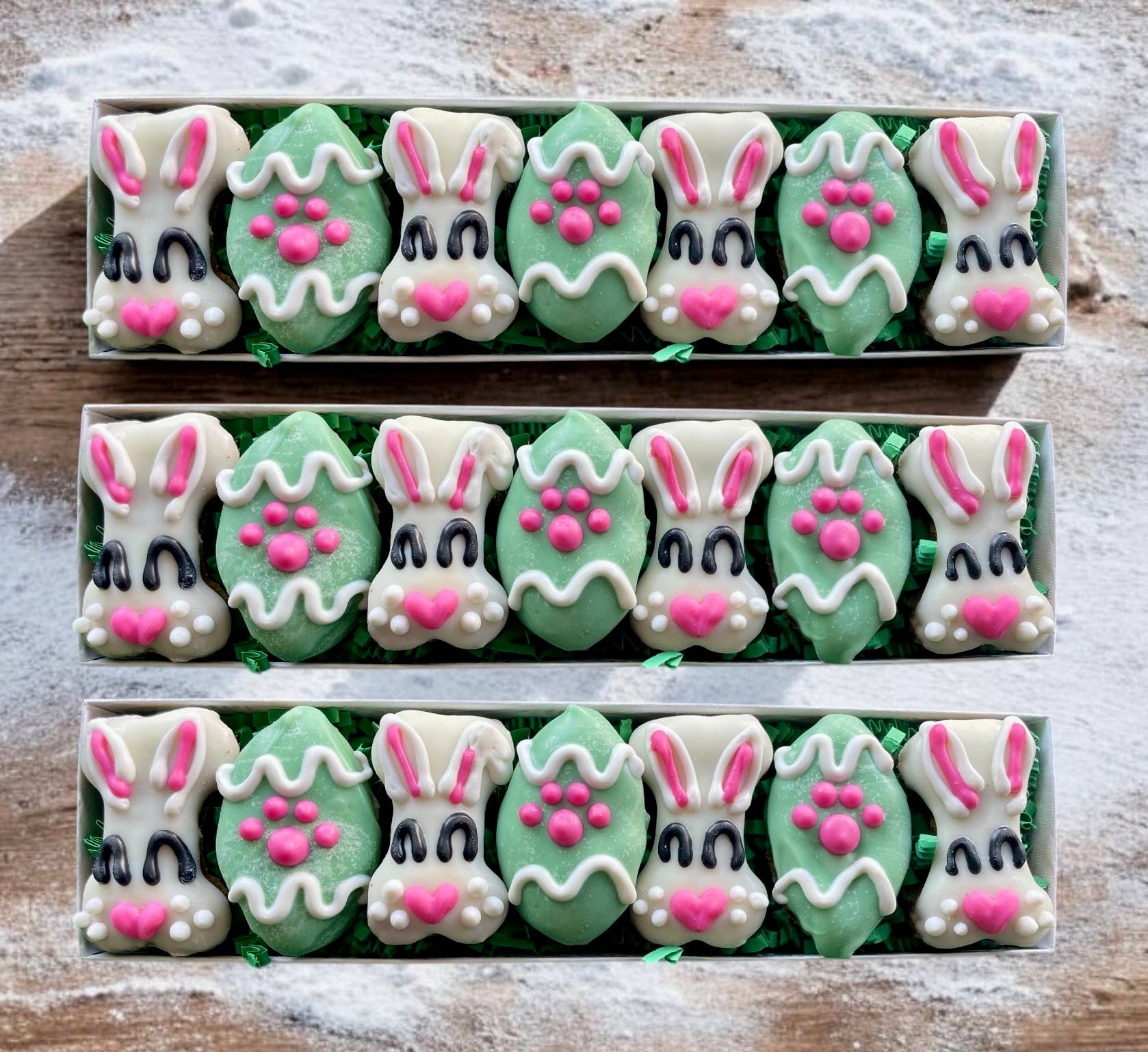 GIFT BOX Peter Cottontail Easter Mini bones dog treat