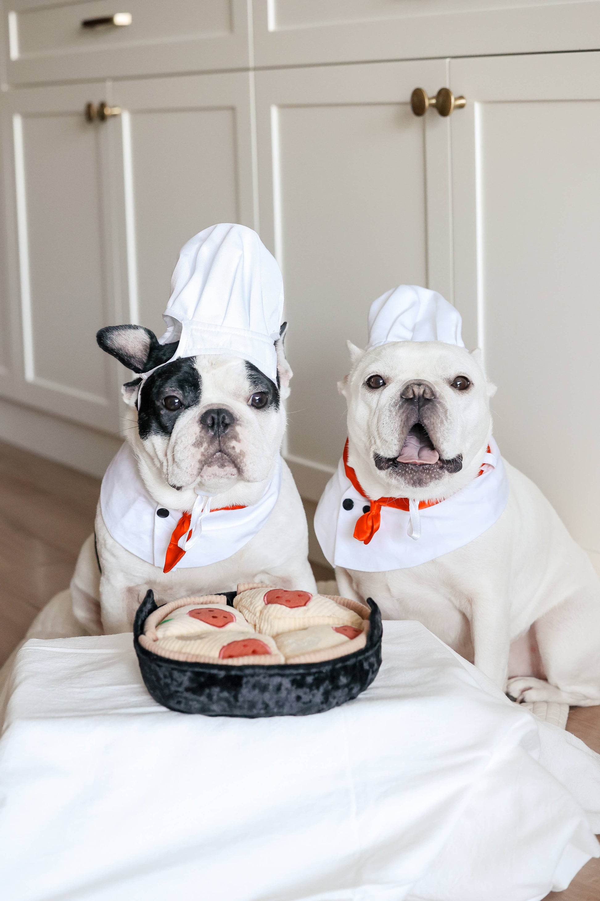 DEEP DISH PIZZA//ENRICHMENT DOG TOY