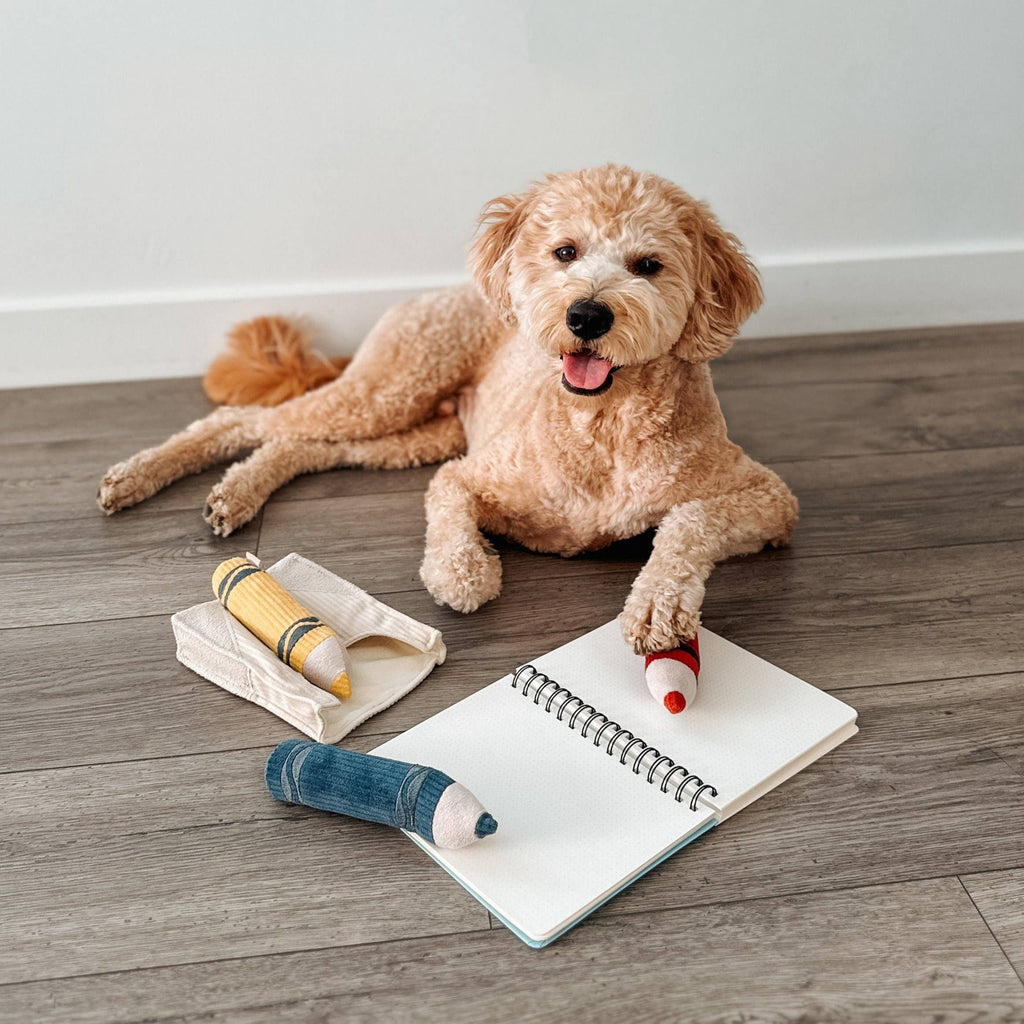 CRAYONS//ENRICHMENT DOG TOY