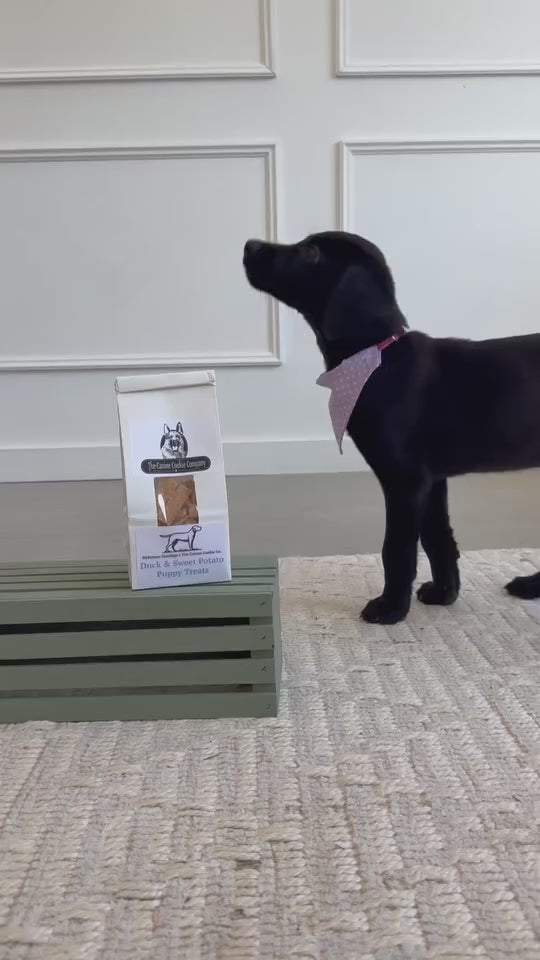 Duck & Sweet Potato Puppy Treats